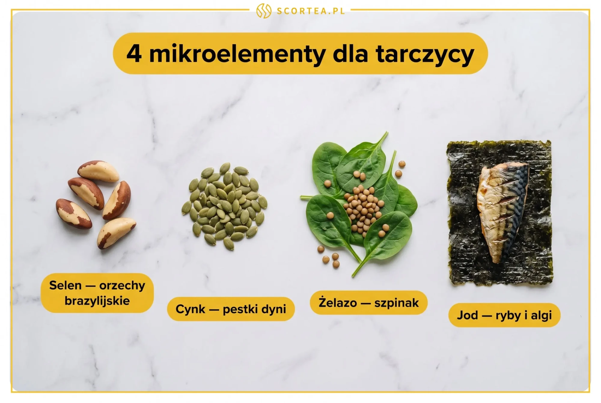 Cztery grupy produktów bogatych w mikroelementy dla tarczycy: orzechy brazylijskie ze selenem, pestki dyni z cynkiem, szpinak z soczewicą jako źródło żelaza oraz ryba i algi z jodem