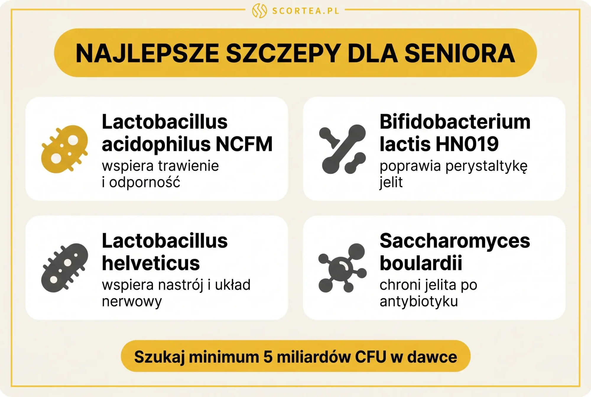 Najlepsze szczepy probiotyczne dla seniora: Lactobacillus acidophilus NCFM, Bifidobacterium lactis HN019, helveticus i Saccharomyces boulardii