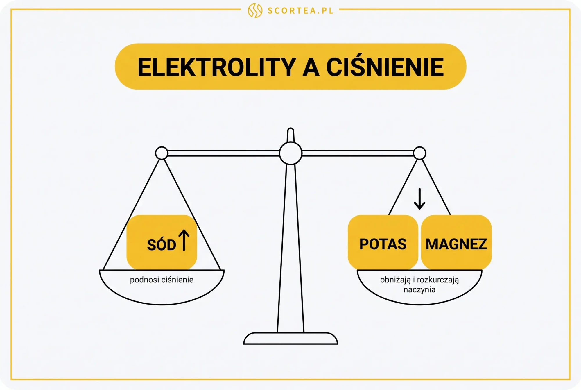 Infografika z wagą porównująca wpływ elektrolitów na ciśnienie krwi: sód podnosi ciśnienie, a potas i magnez je obniżają oraz rozkurczają naczynia.