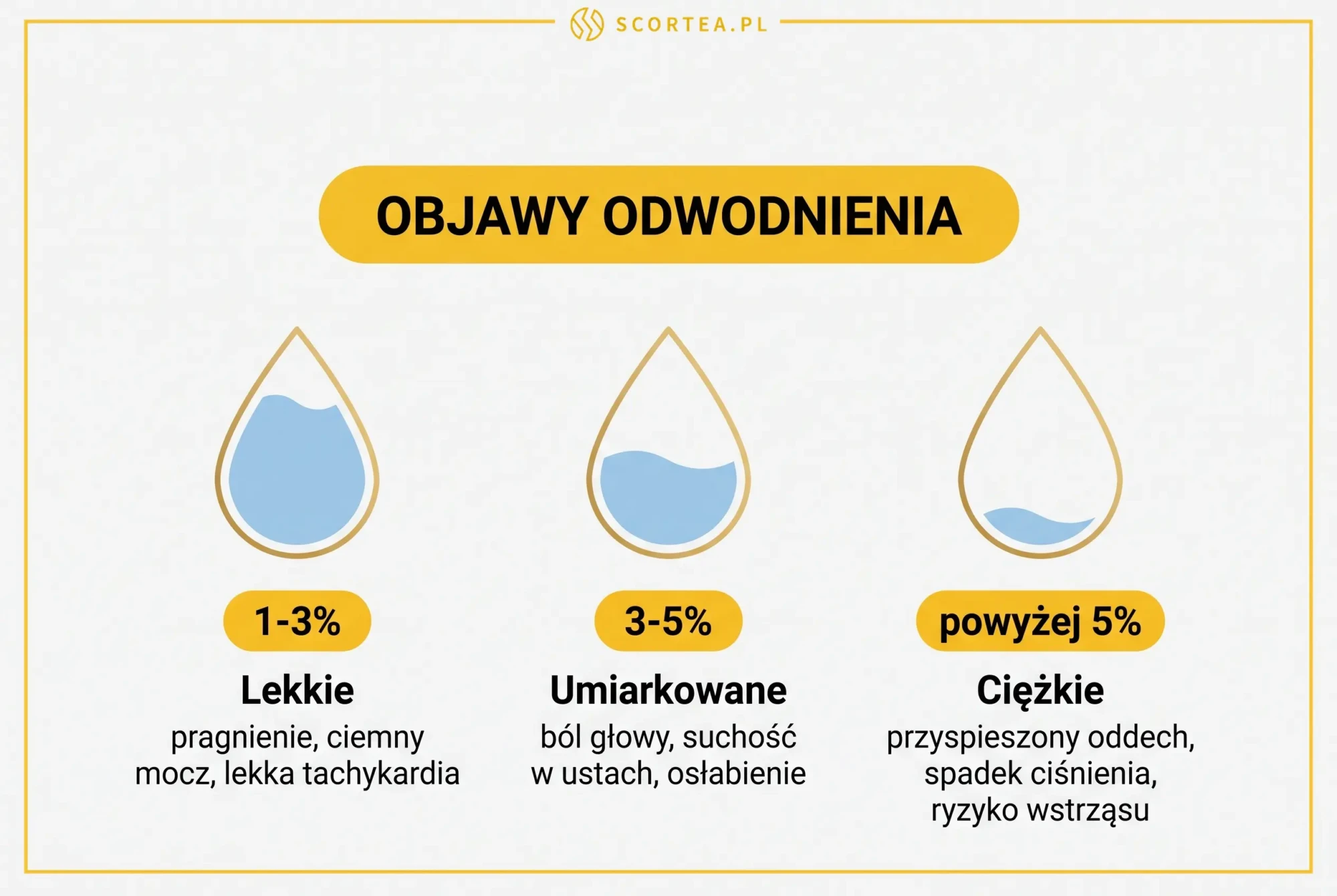 Trzy stopnie odwodnienia jako opróżniające się krople: lekkie 1-3%, umiarkowane 3-5% i ciężkie powyżej 5% z objawami