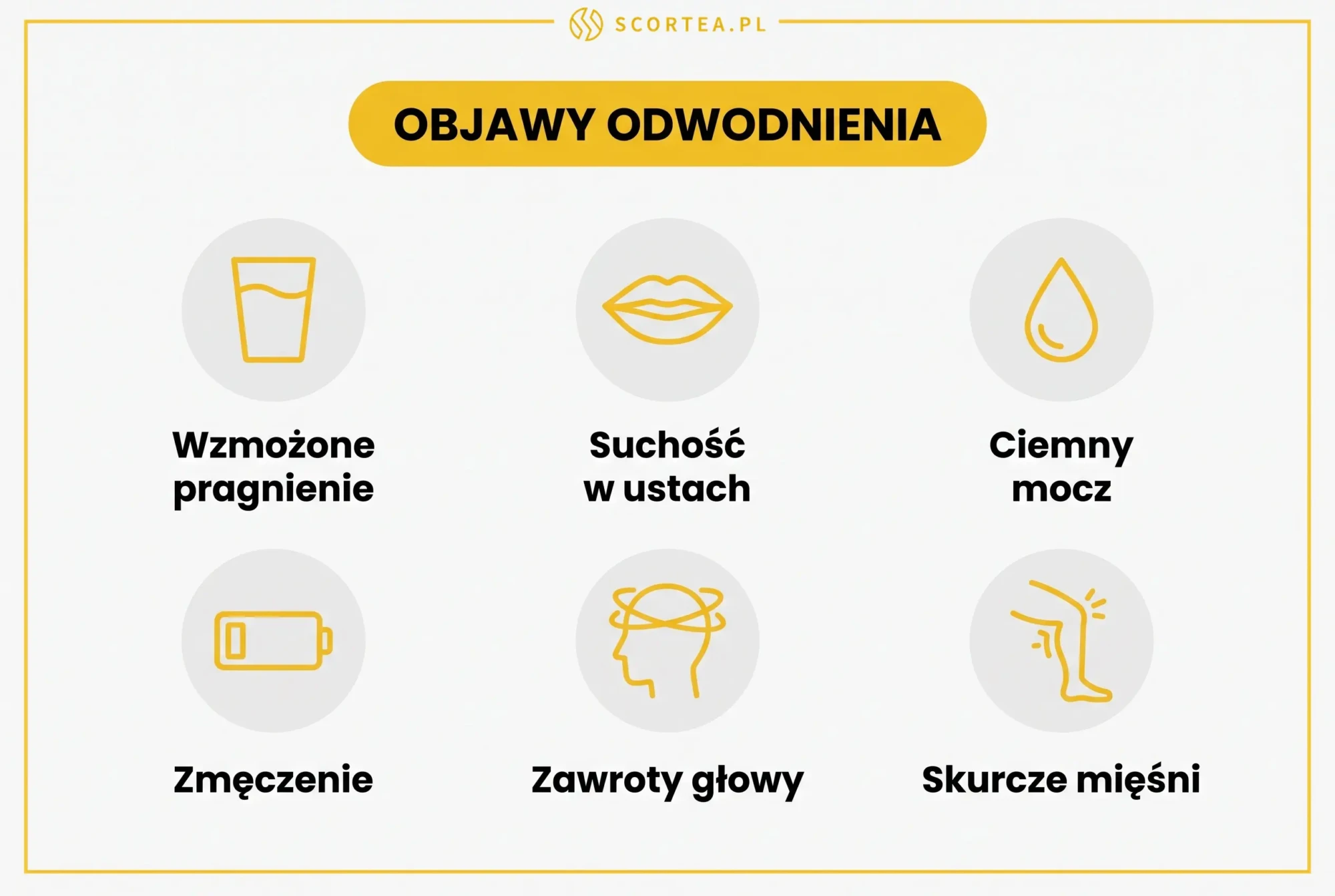 Infografika Scortea: sześć głównych objawów odwodnienia - wzmożone pragnienie, suchość w ustach, ciemny mocz, zmęczenie, zawroty głowy i skurcze mięśni
