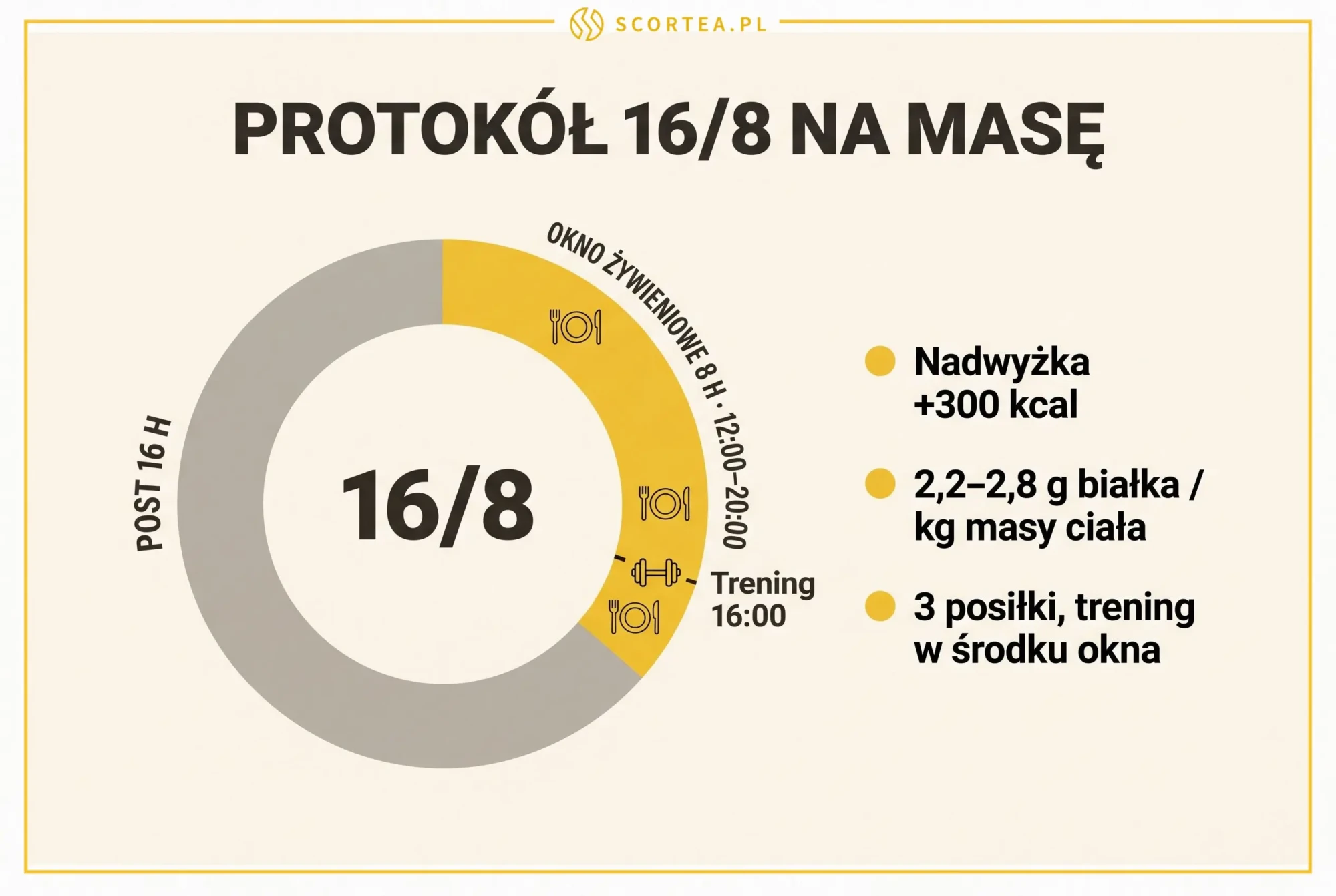 Infografika protokół 16/8 na masę: 16 godzin postu i 8-godzinne okno żywieniowe 12:00-20:00 z treningiem siłowym o 16:00