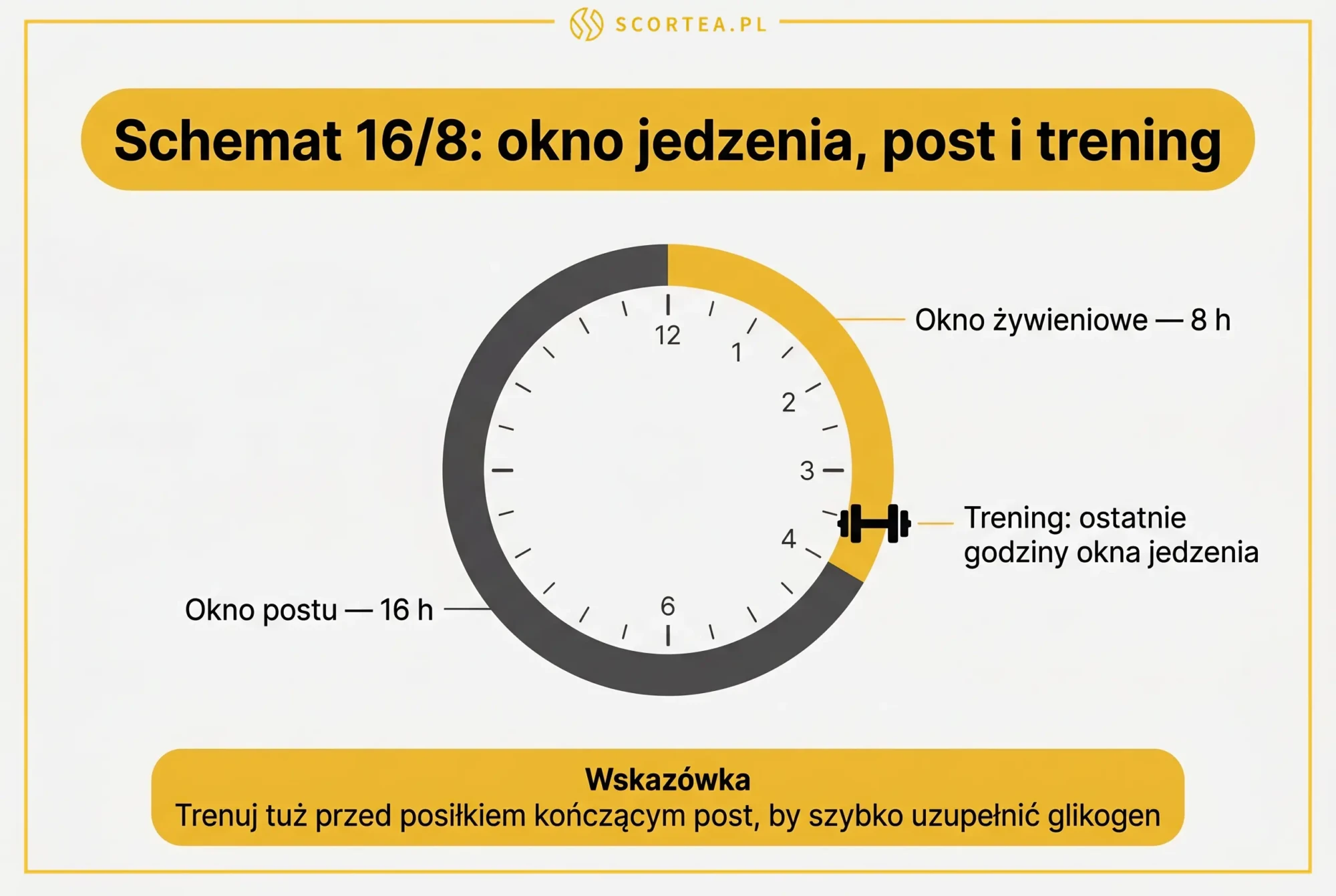 Schemat 16/8 na tarczy zegara: 8-godzinne okno żywieniowe, 16-godzinne okno postu oraz trening w ostatnich godzinach okna jedzenia