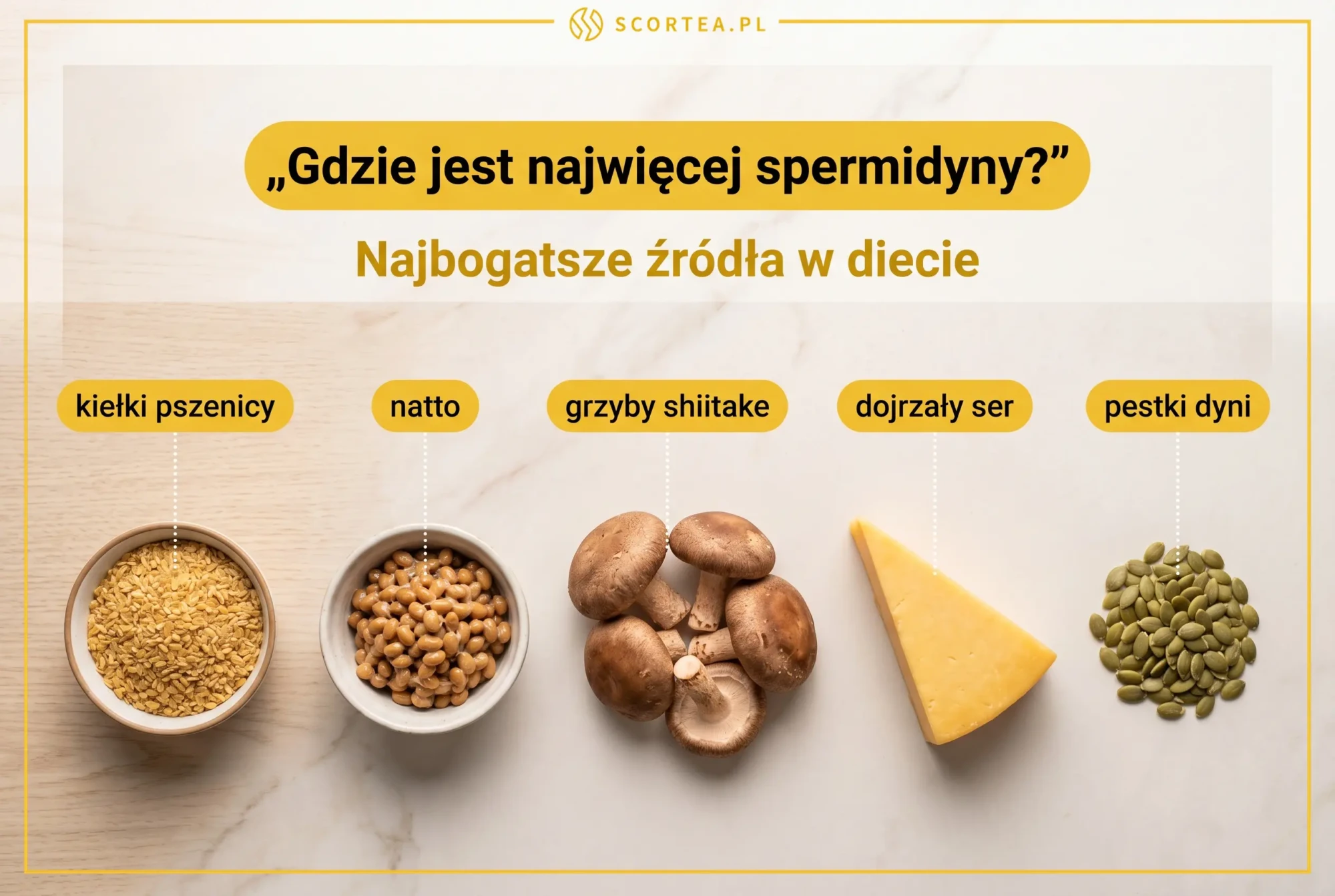 Infografika z najbogatszymi źródłami spermidyny w diecie: kiełki pszenicy, natto, grzyby shiitake, dojrzały ser i pestki dyni rozłożone na jasnym blacie