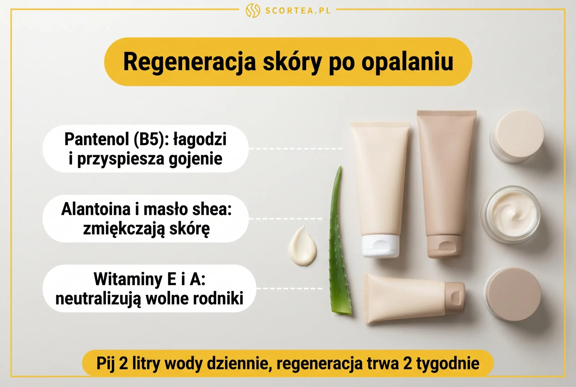 Infografika: trzy filary regeneracji skóry po opalaniu - pantenol, alantoina z masłem shea, witaminy E i A
