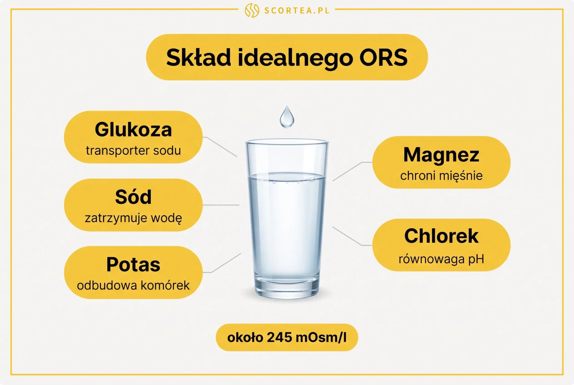 Skład idealnego ORS przedstawiony wokół szklanki wody: glukoza, sód, potas, magnez i chlorek oraz osmolarność około 245 mOsm/l