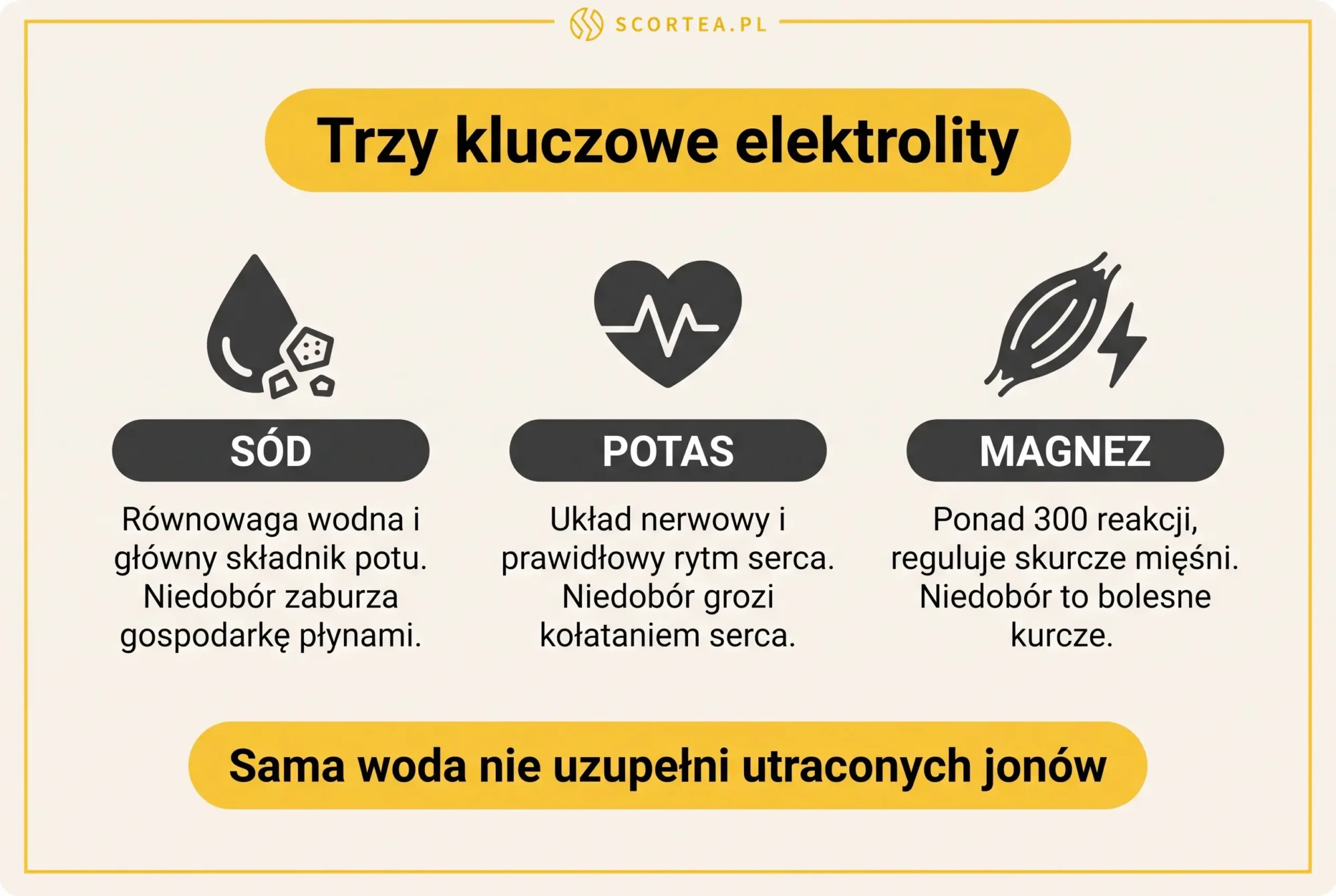 Infografika przedstawiająca trzy kluczowe elektrolity - sód, potas i magnez wraz z ich funkcjami i objawami niedoboru