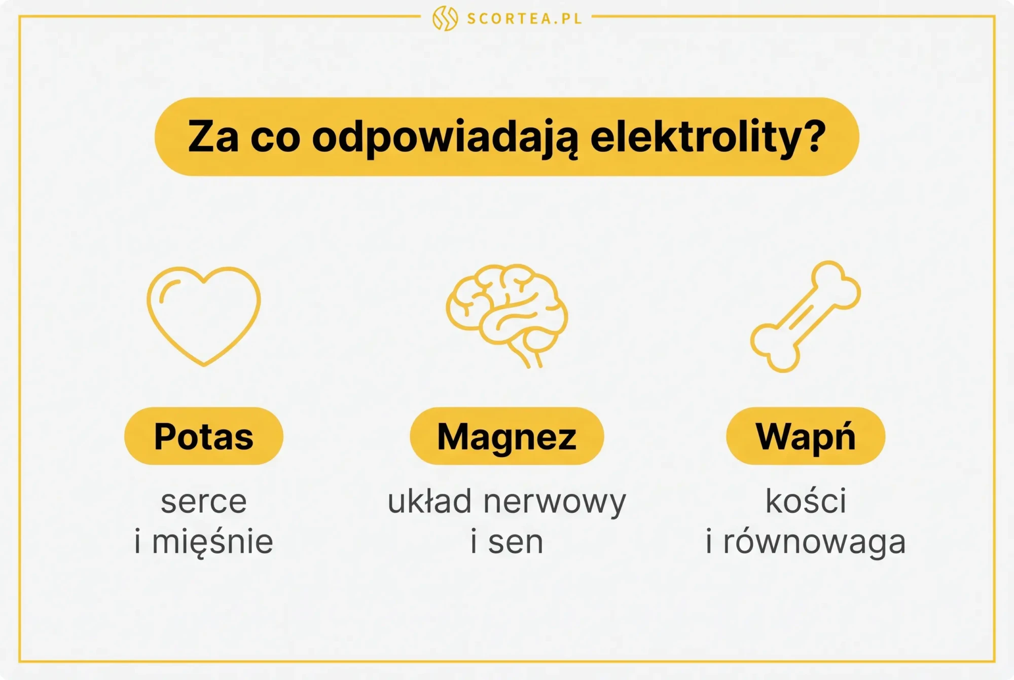 Infografika przedstawiająca za co odpowiadają elektrolity: potas za serce i mięśnie, magnez za układ nerwowy i sen, wapń za kości i równowagę