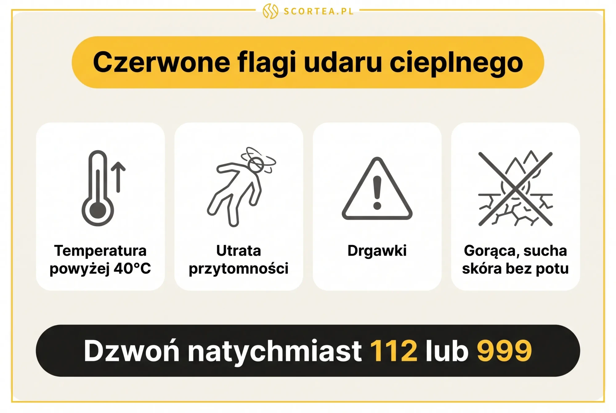 Infografika: czerwone flagi udaru cieplnego u dziecka - temperatura powyżej 40 stopni, utrata przytomności, drgawki, sucha skóra, dzwoń 112