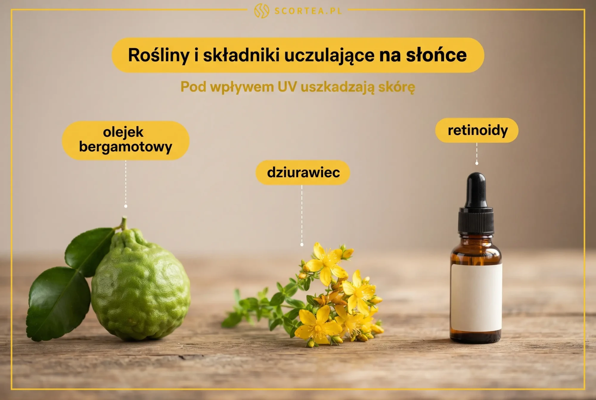 Roślinne przyczyny fotoalergii: olejek bergamotowy, dziurawiec i retinoidy uczulające skórę na promieniowanie UV