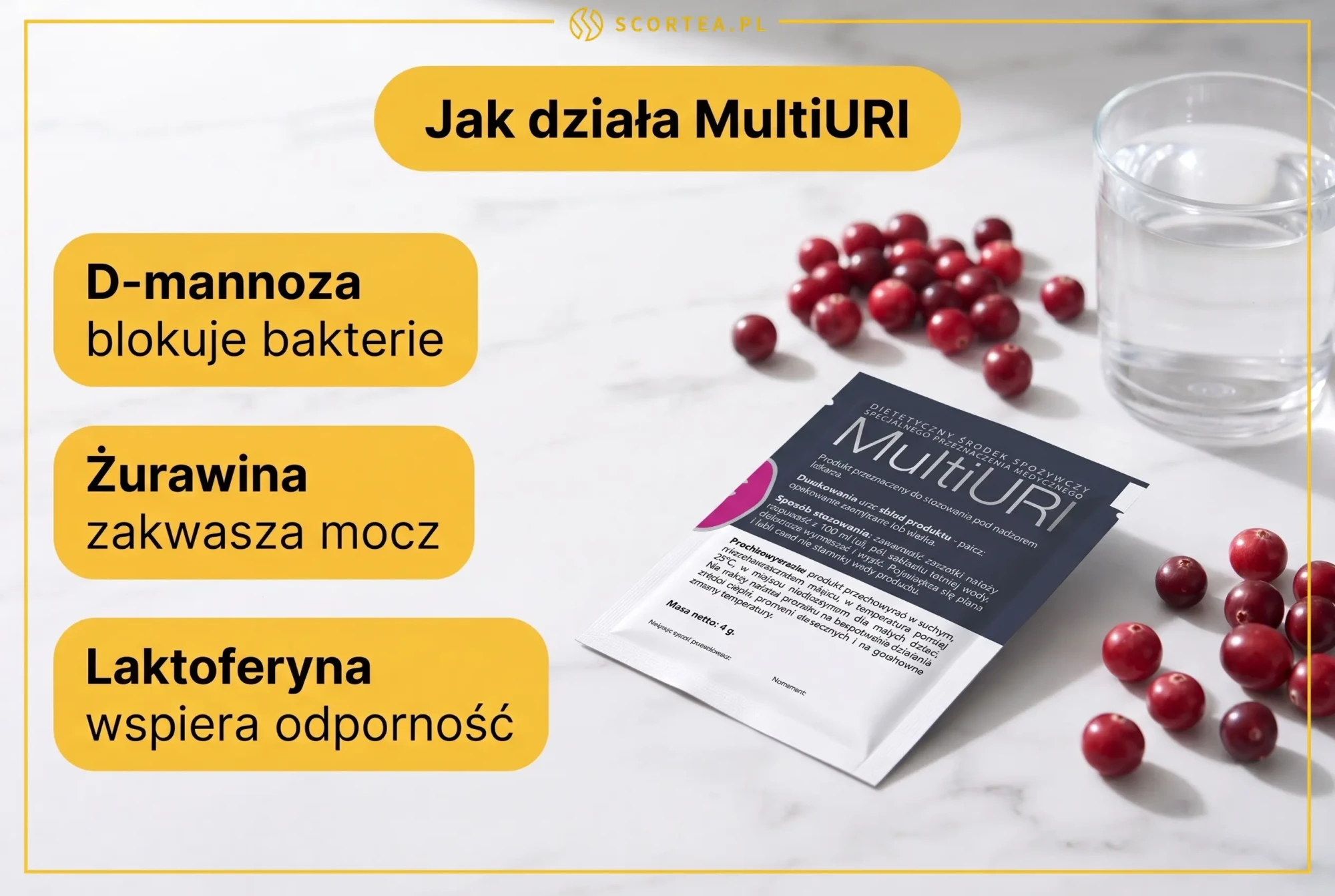 Infografika: jak działa MultiURI – D-mannoza blokuje bakterie, żurawina zakwasza mocz, laktoferyna wspiera odporność.