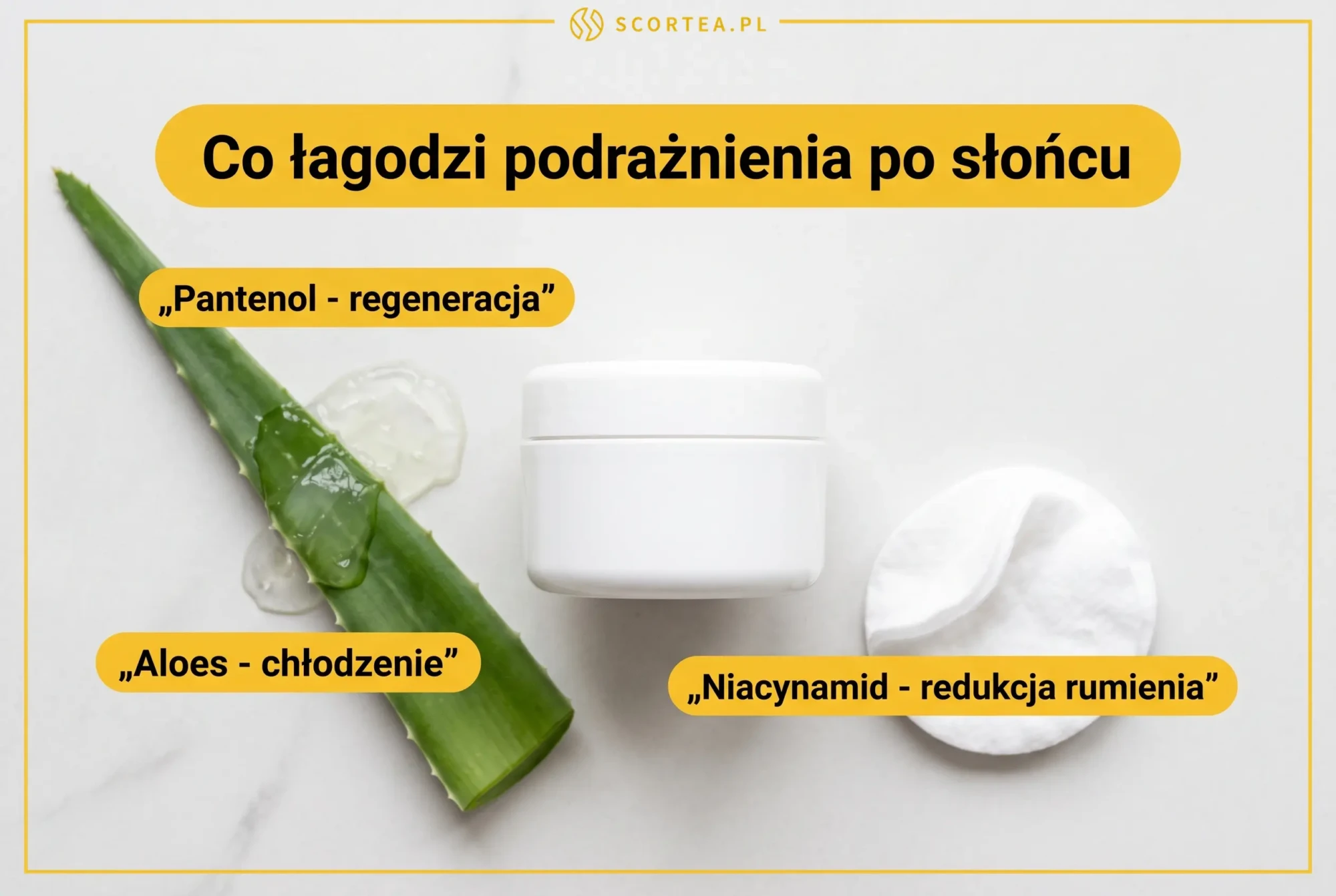 Infografika: co łagodzi podrażnienia po słońcu - pantenol, aloes i niacynamid