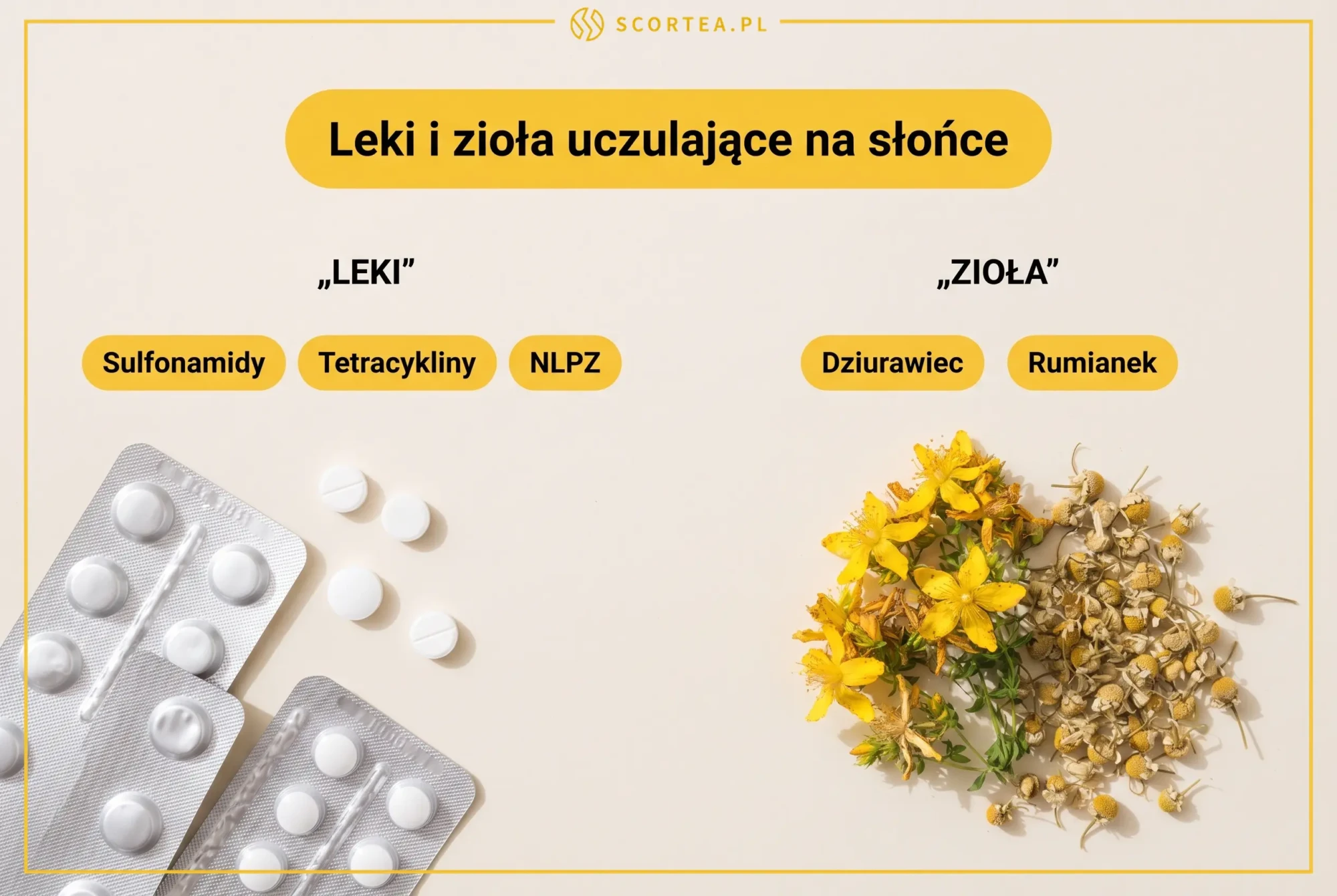 Infografika: leki i zioła uczulające na słońce - sulfonamidy, tetracykliny, NLPZ, dziurawiec, rumianek