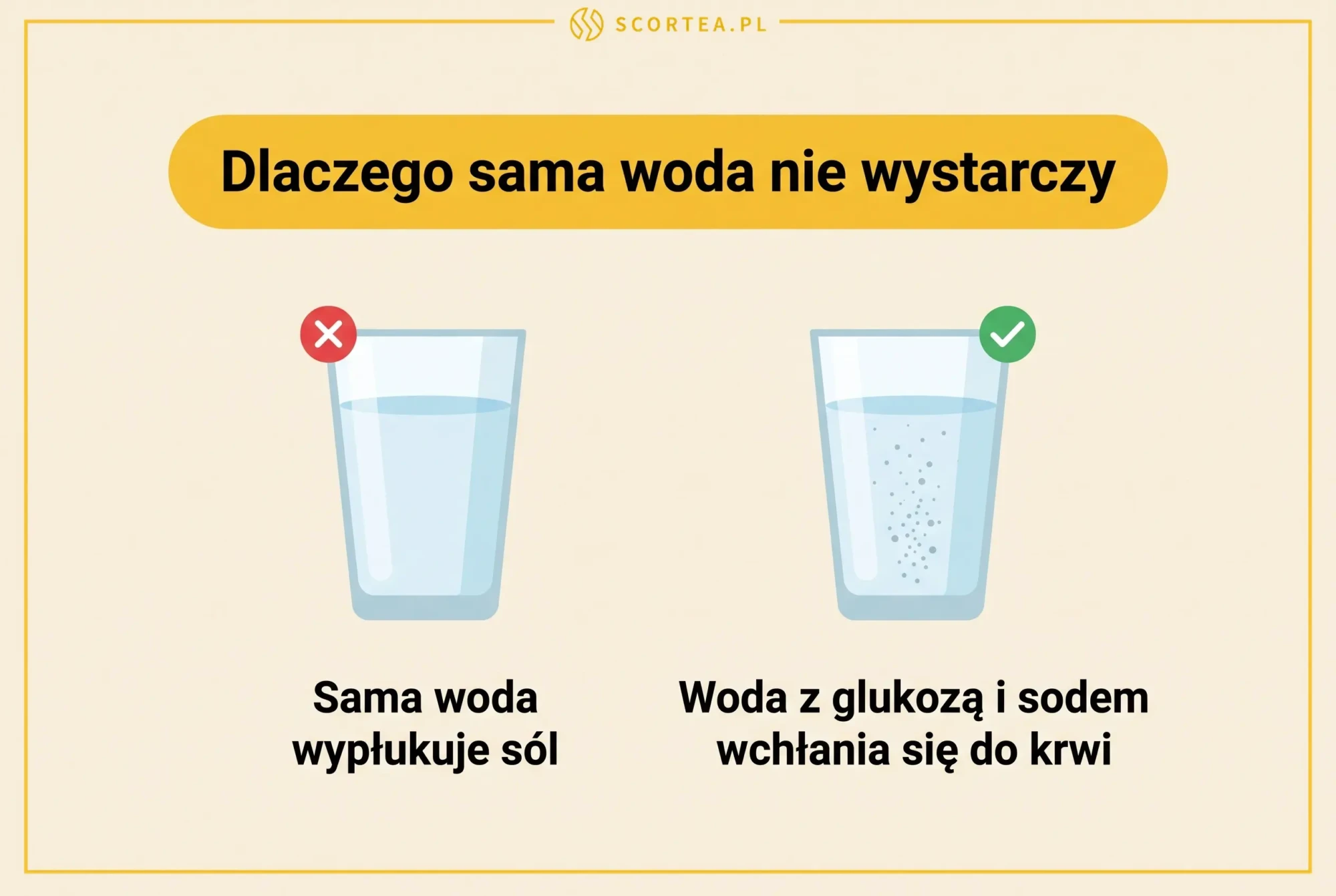 Porównanie dwóch szklanek: sama woda wypłukuje sól, a woda z glukozą i sodem wchłania się do krwi
