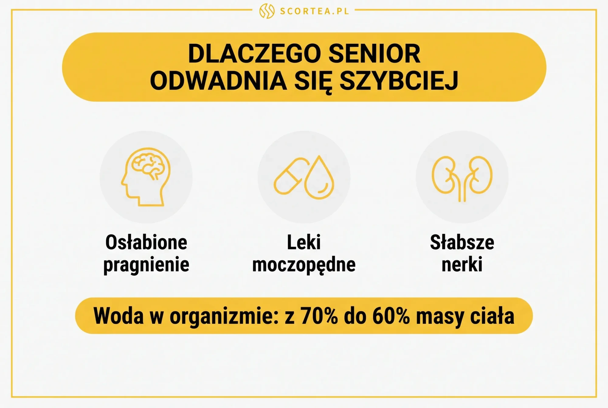 Infografika: dlaczego senior odwadnia się szybciej - osłabione pragnienie, leki moczopędne, słabsze nerki, woda w organizmie spada z 70% do 60% masy ciała