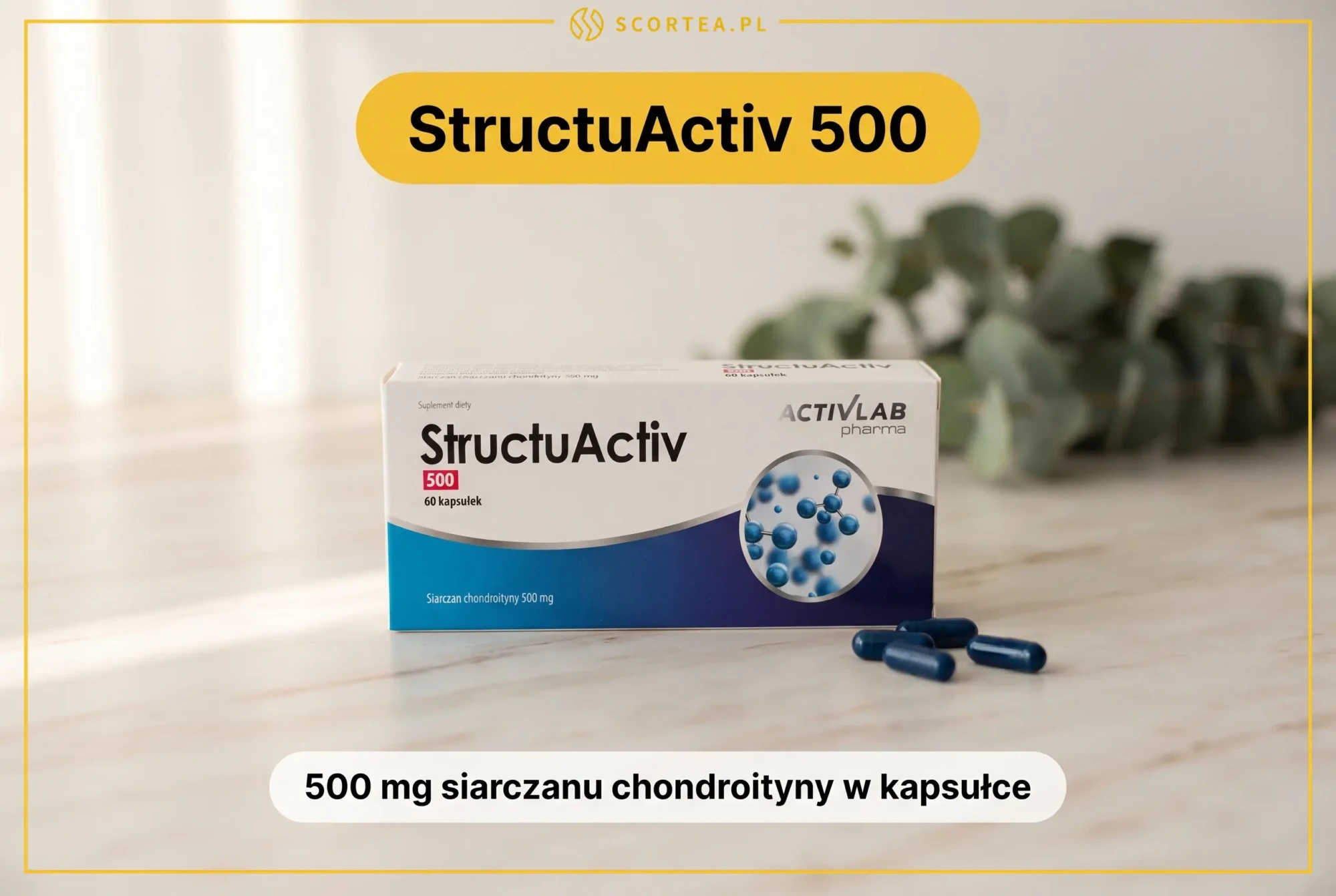 Opakowanie StructuActiv 500 z niebieskimi kapsułkami – 500 mg siarczanu chondroityny w kapsułce