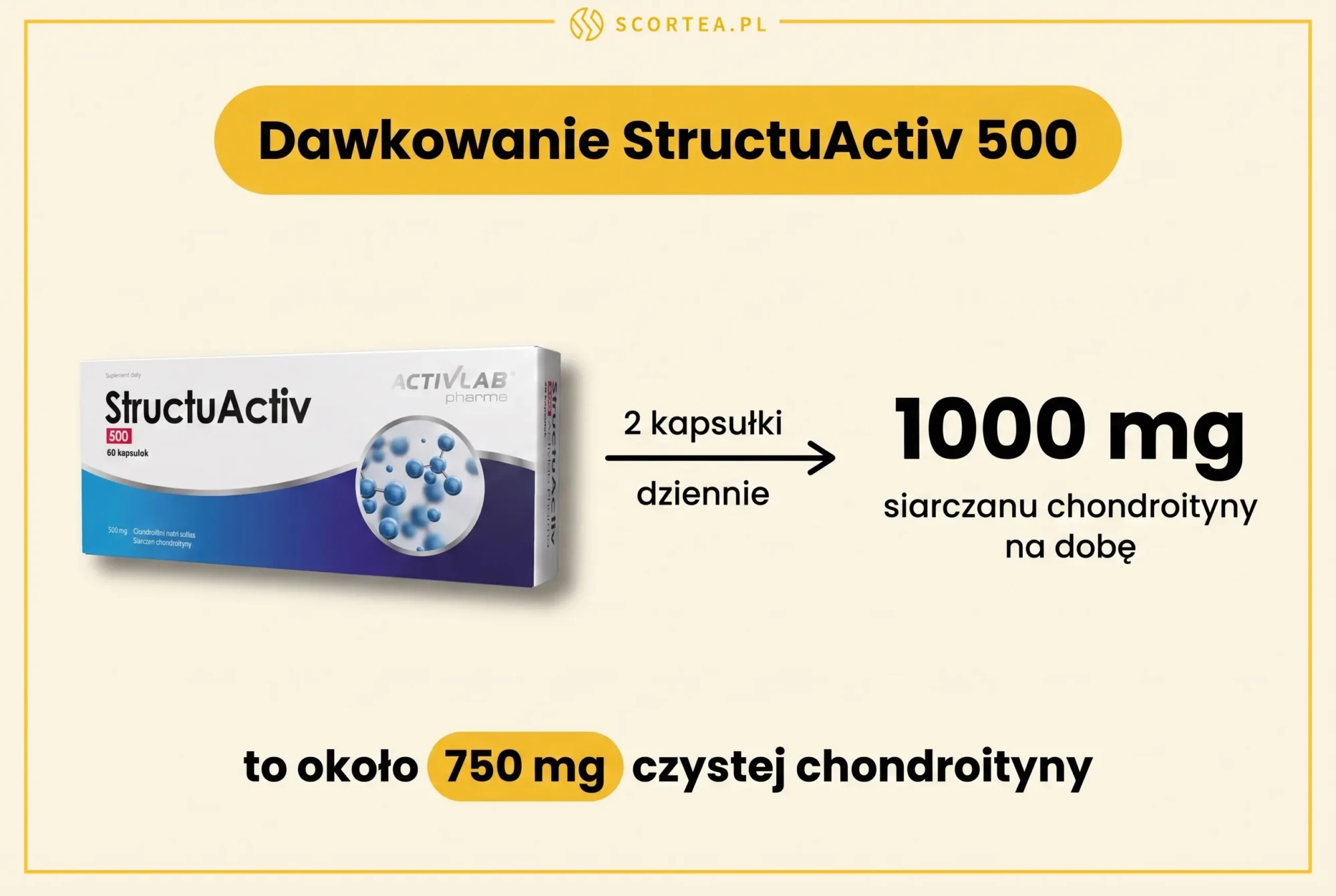 Infografika dawkowania StructuActiv 500: 2 kapsułki dziennie to 1000 mg siarczanu chondroityny, czyli około 750 mg czystej chondroityny