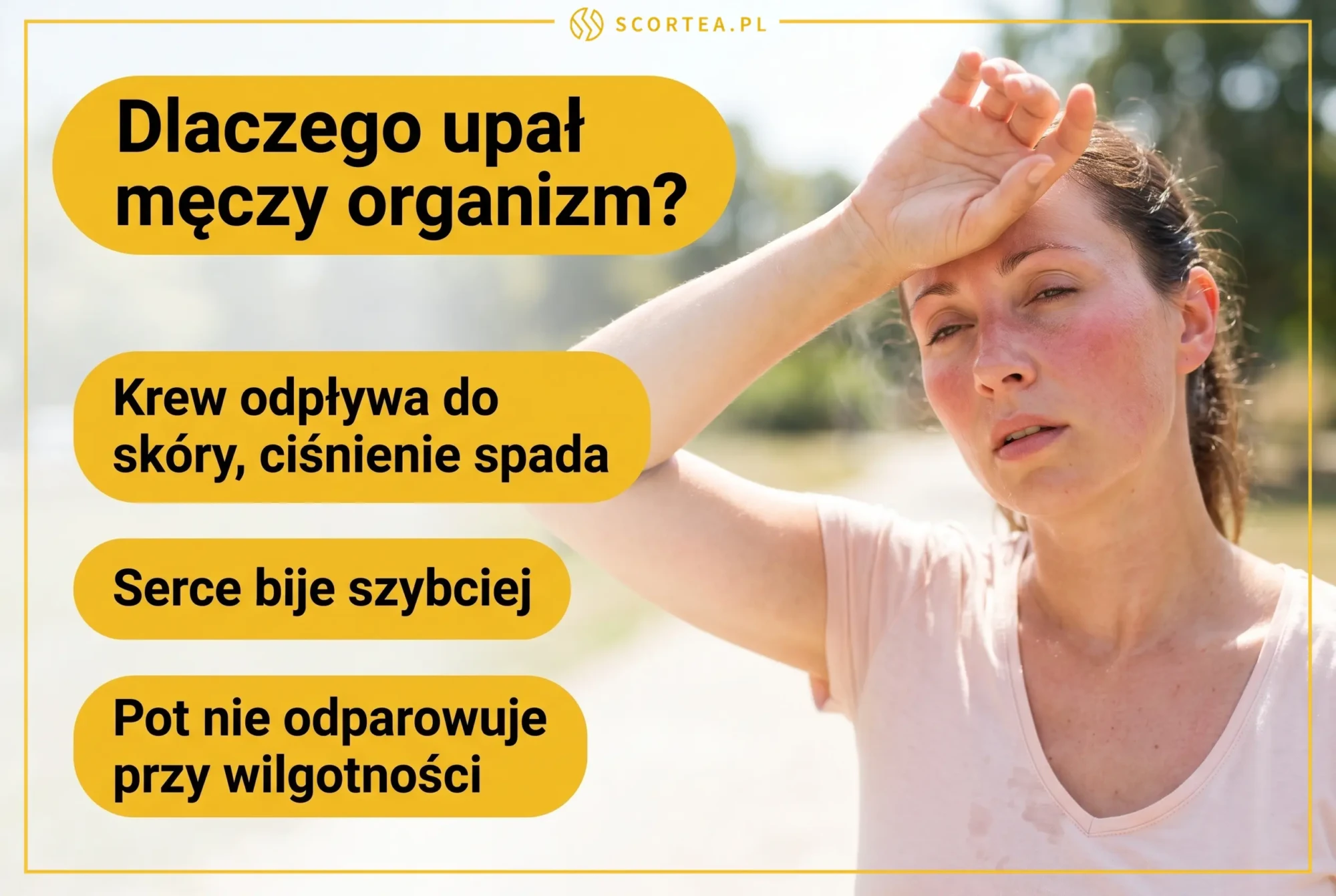 Infografika: dlaczego upał męczy organizm - krew odpływa do skóry, spada ciśnienie, serce bije szybciej