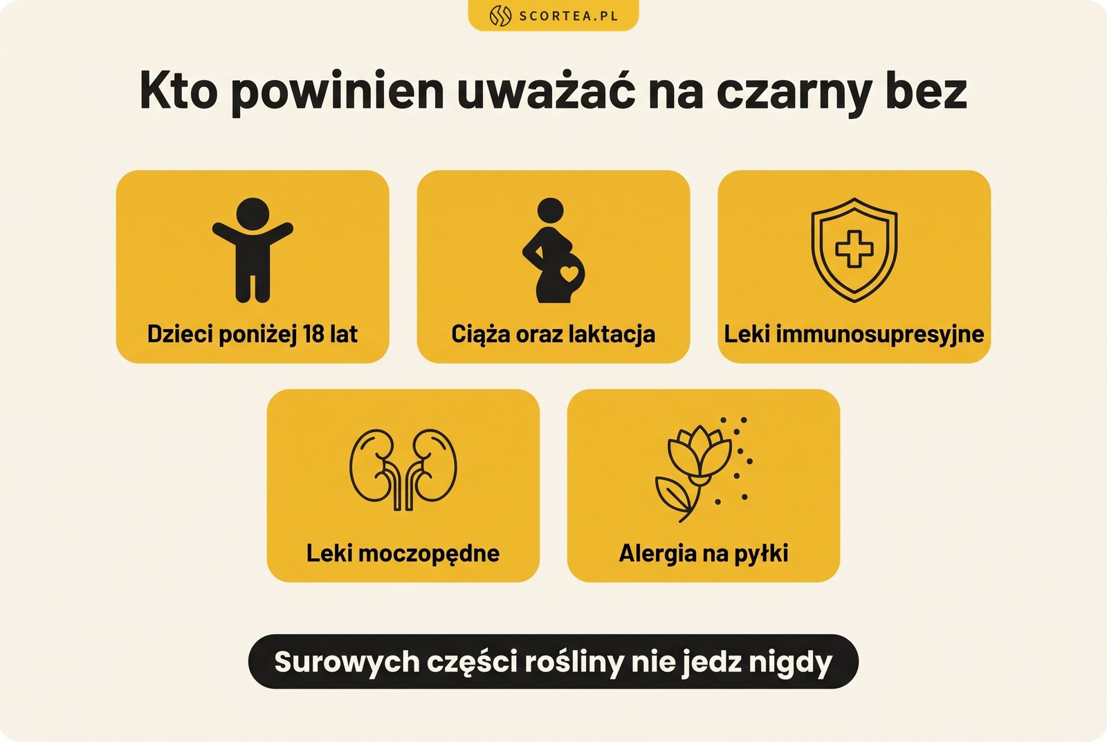Infografika: pięć grup ryzyka, które powinny uważać na czarny bez, w tym dzieci, ciężarne i osoby przyjmujące leki