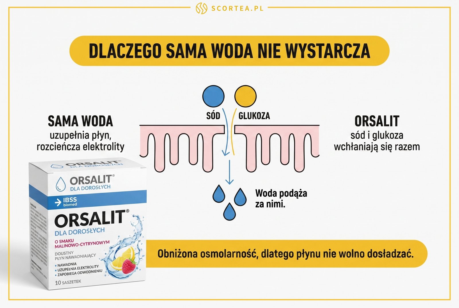 Infografika wyjaśniająca, dlaczego sama woda nie wystarcza: sód i glukoza wchłaniają się w jelicie razem, a woda podąża za nimi
