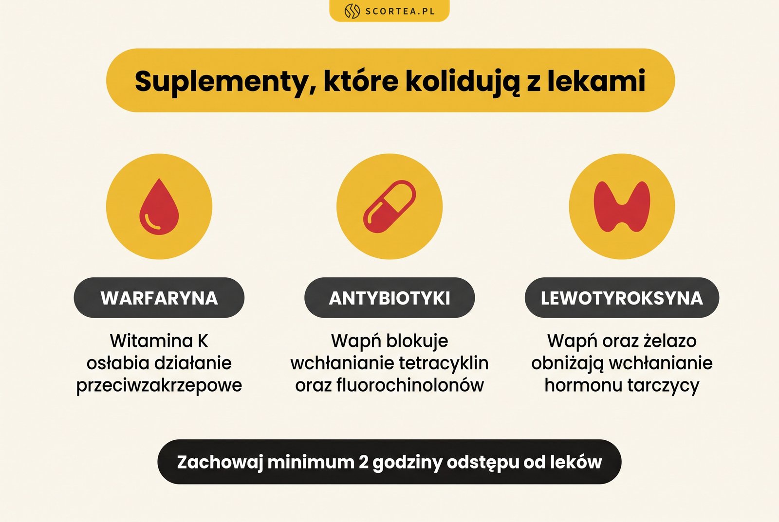 Infografika: interakcje suplementów z lekami - witamina K z warfaryną, wapń z antybiotykami, minerały z lewotyroksyną