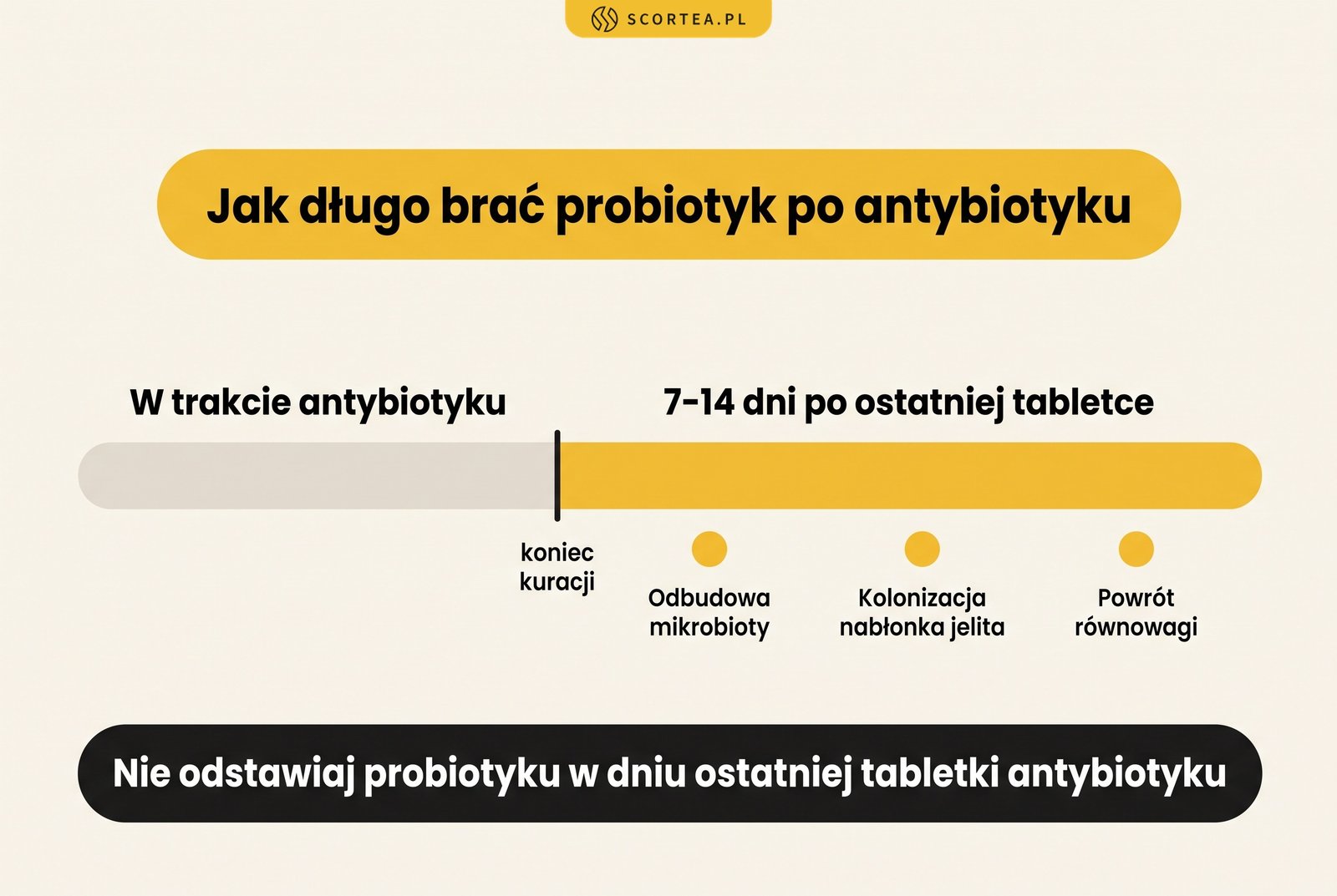 Infografika z osią czasu: probiotyk stosuj w trakcie antybiotyku i przez 7-14 dni po ostatniej tabletce