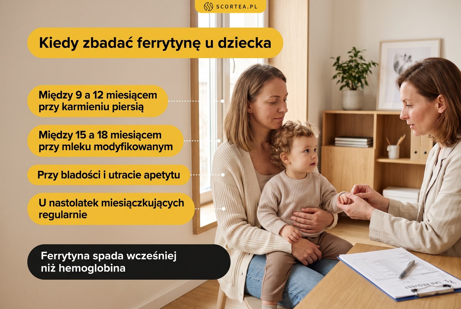Infografika: kiedy zbadać ferrytynę u dziecka - screening między 9. a 12. oraz 15. a 18. miesiącem życia