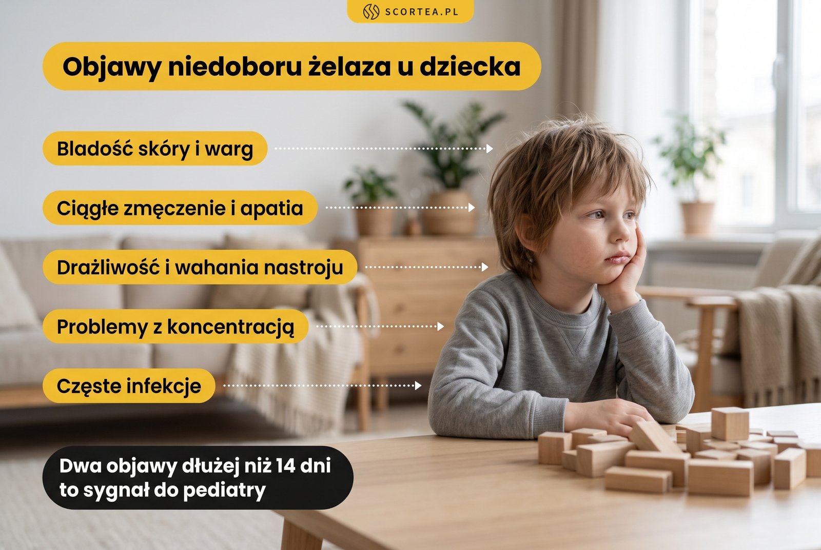 Infografika: objawy niedoboru żelaza u dziecka - bladość skóry, zmęczenie, drażliwość, problemy z koncentracją, częste infekcje