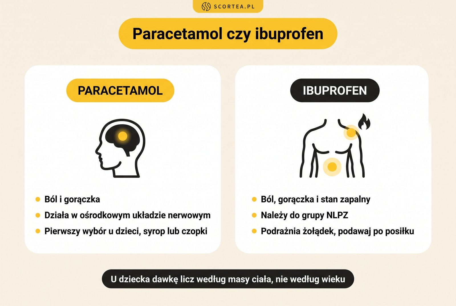 Infografika porównująca paracetamol i ibuprofen: miejsce działania, przynależność do NLPZ i zasady podawania