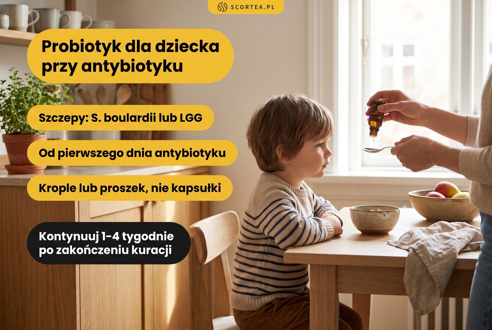 Infografika: probiotyk dla dziecka przy antybiotyku - szczepy Saccharomyces boulardii lub LGG podawane w kroplach