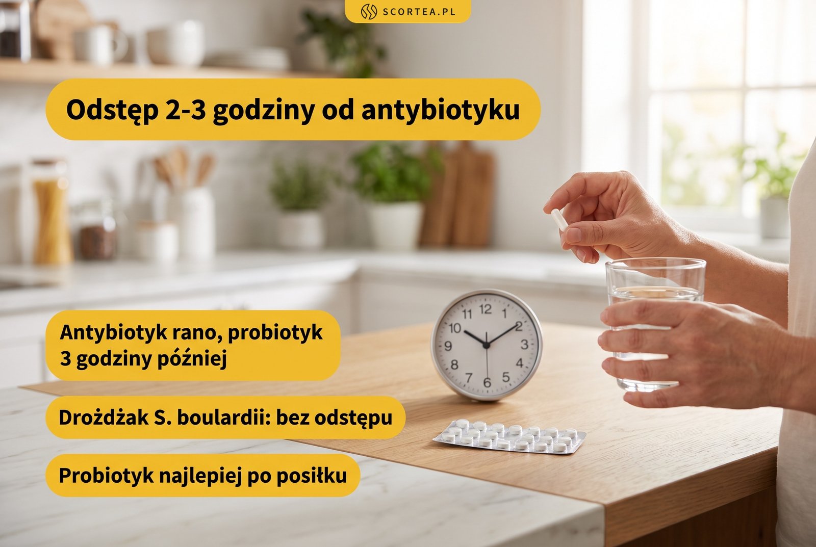 Infografika: probiotyk przyjmuj 2-3 godziny po antybiotyku, drożdżak Saccharomyces boulardii bez zachowania odstępu