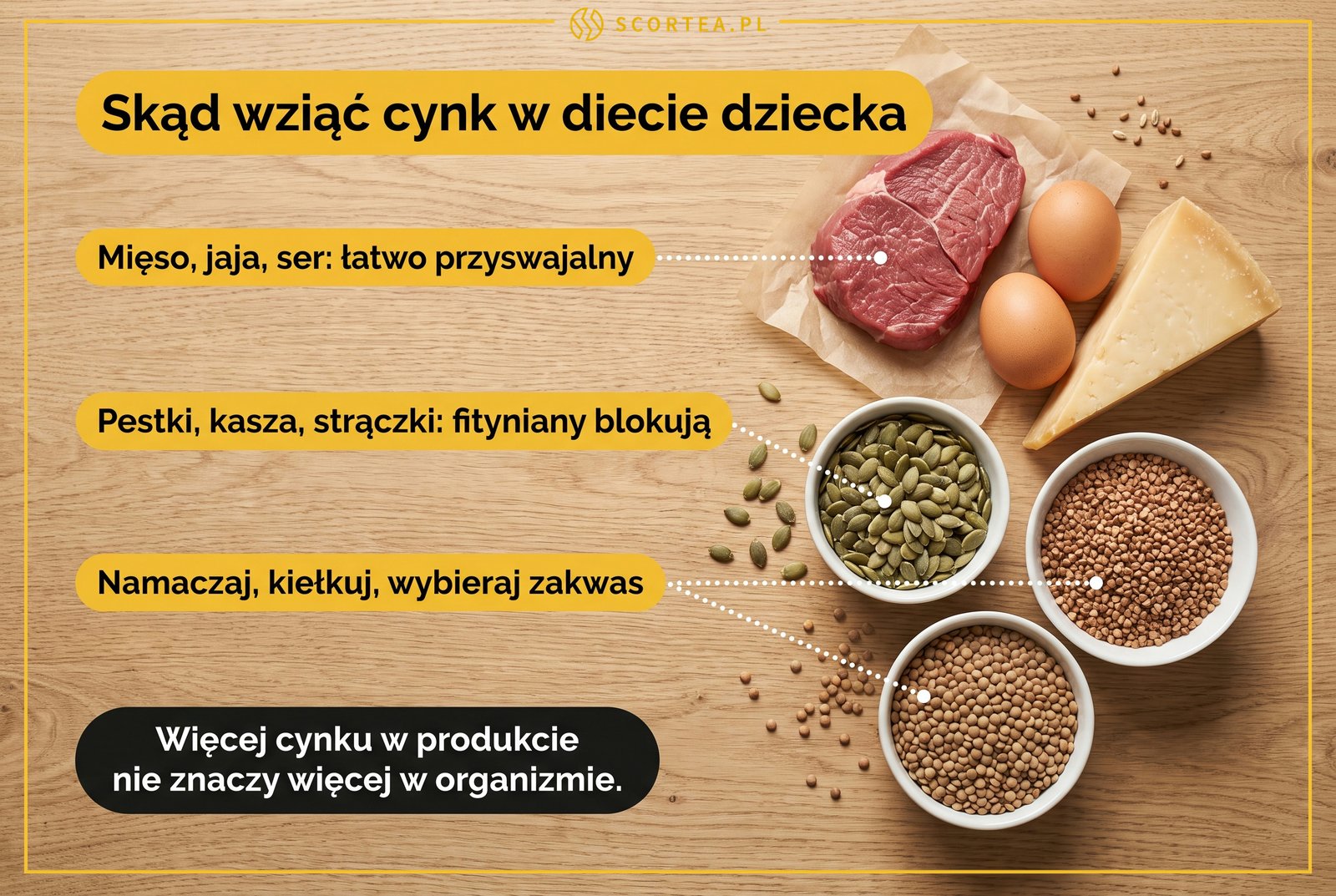 Infografika: źródła cynku w diecie dziecka, mięso, jaja i ser jako łatwo przyswajalne oraz pestki dyni, kasza i strączki, w których fityniany blokują wchłanianie