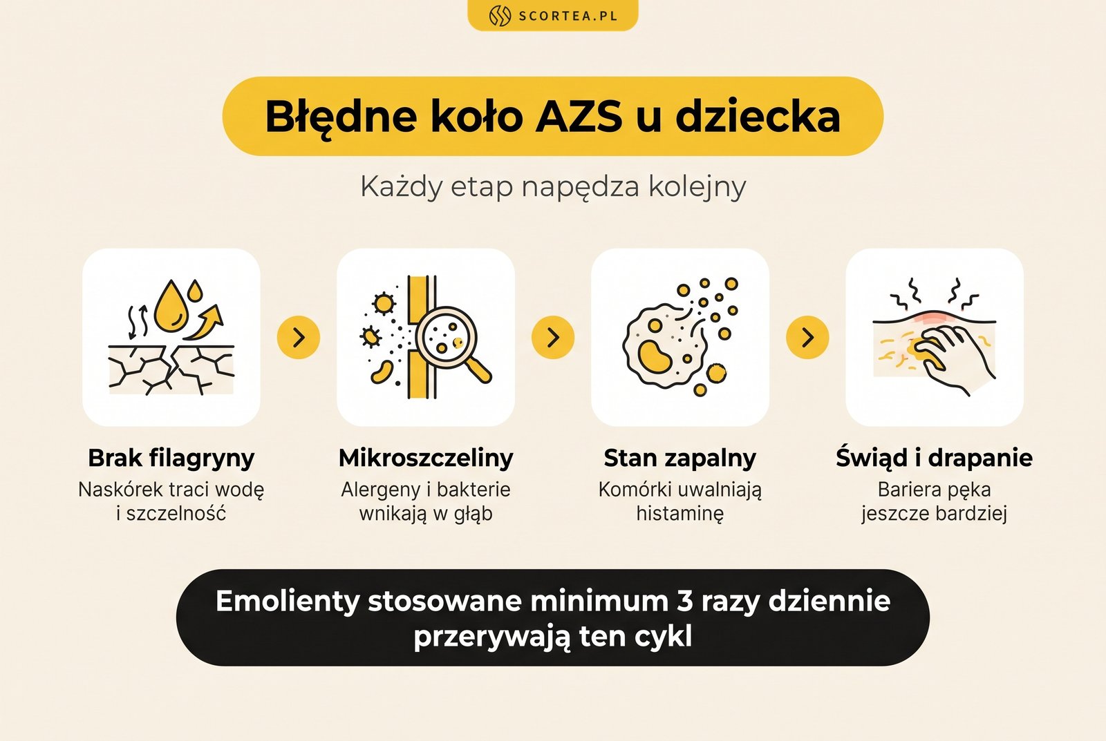 Infografika: błędne koło AZS u dziecka, od braku filagryny przez mikroszczeliny i stan zapalny do świądu i drapania