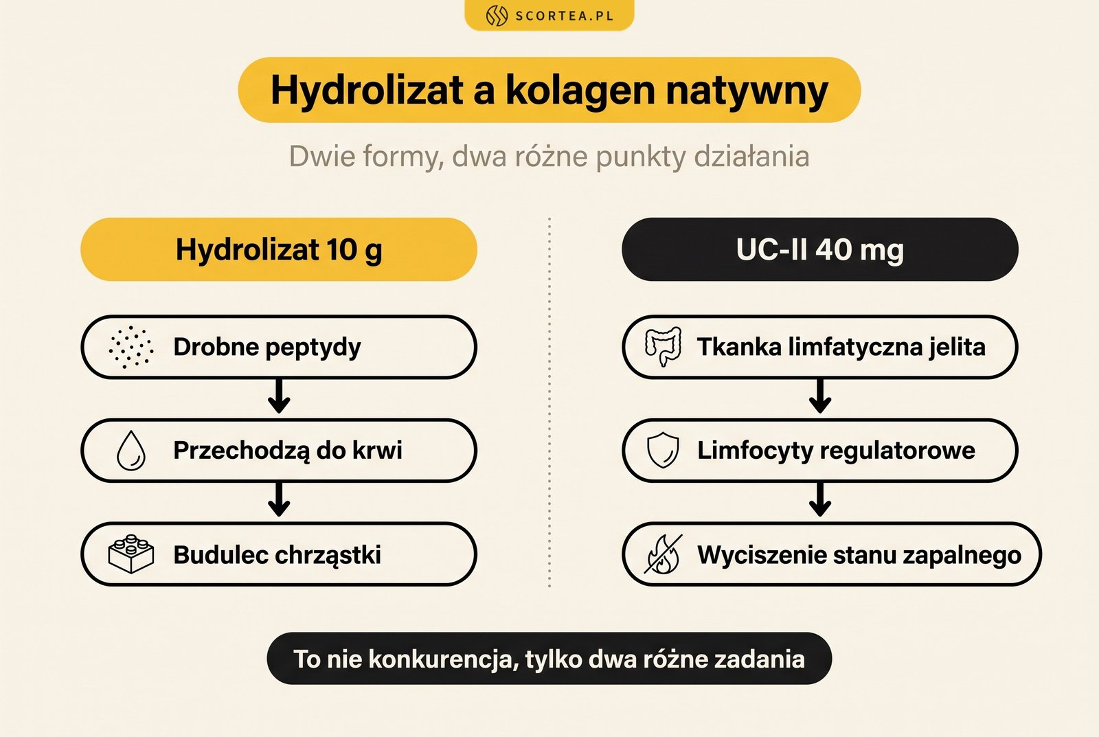 Hydrolizat kolagenu a kolagen natywny UC-II: peptydy przechodzą do krwi jako budulec chrząstki, UC-II działa w tkance limfatycznej jelita i wycisza stan zapalny