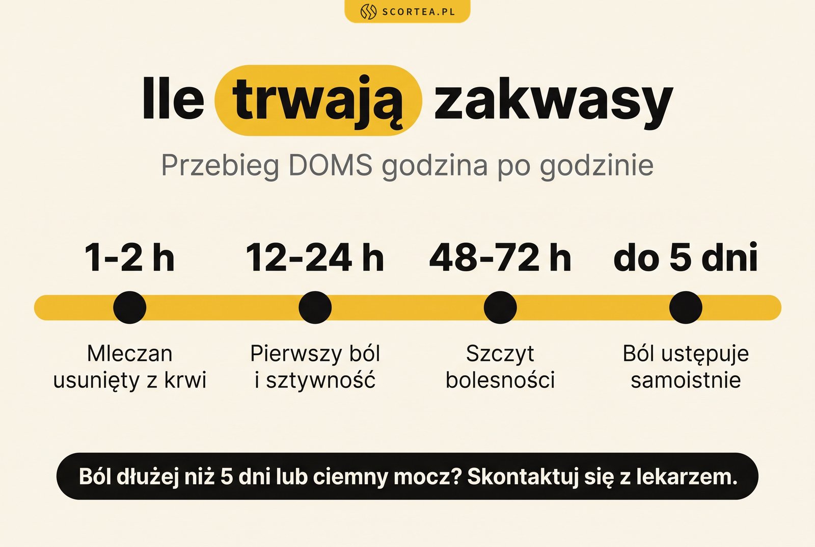 Oś czasu zakwasów: mleczan znika po 1-2 godzinach, ból od 12-24 godzin, szczyt między 48. a 72. godziną, ustąpienie do 5 dni