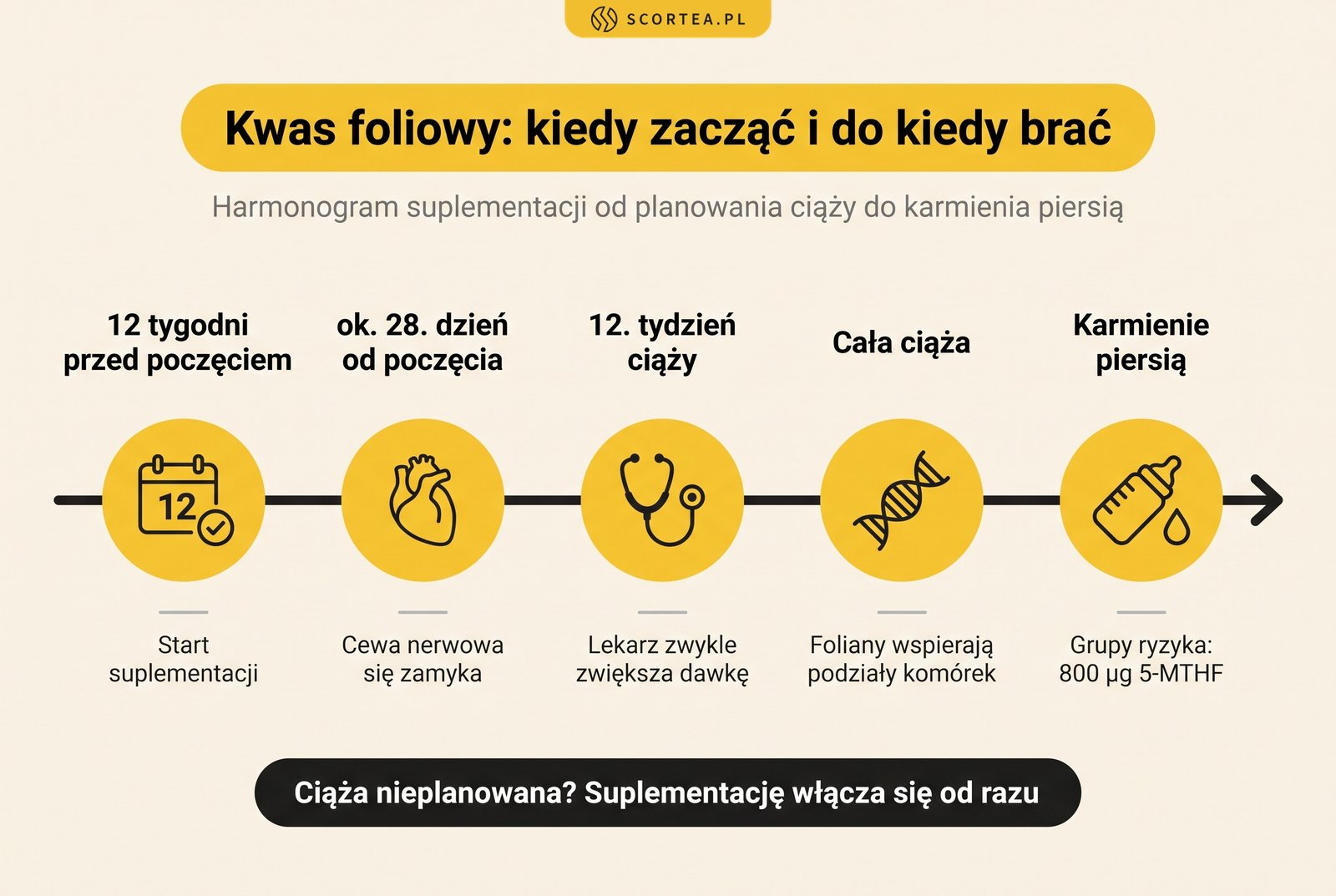 Oś czasu suplementacji kwasu foliowego: start 12 tygodni przed poczęciem, cała ciąża i karmienie piersią