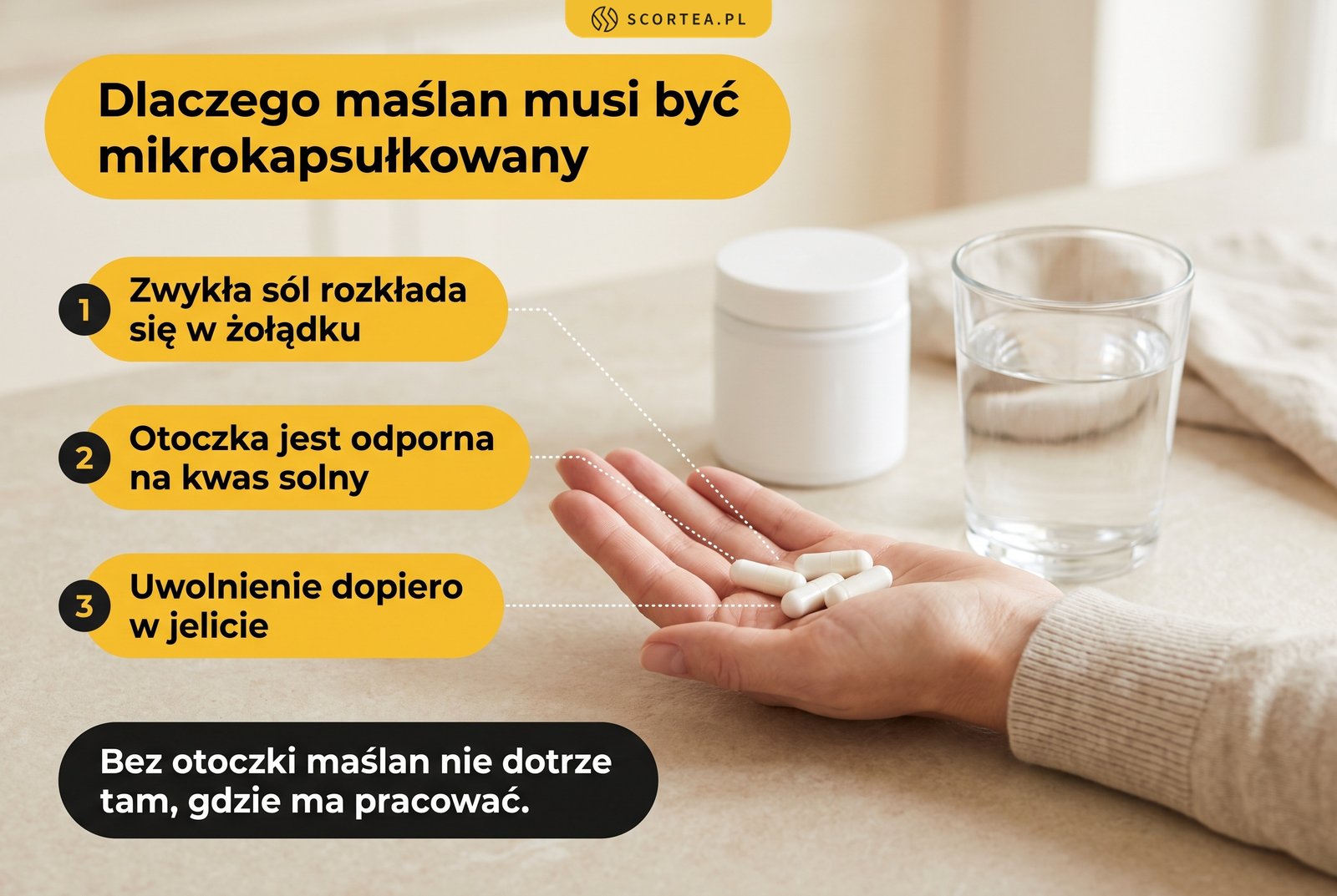 Infografika: dlaczego maślan sodu musi być mikrokapsułkowany - zwykła sól rozkłada się w żołądku, otoczka jest odporna na kwas solny, uwolnienie następuje dopiero w jelicie