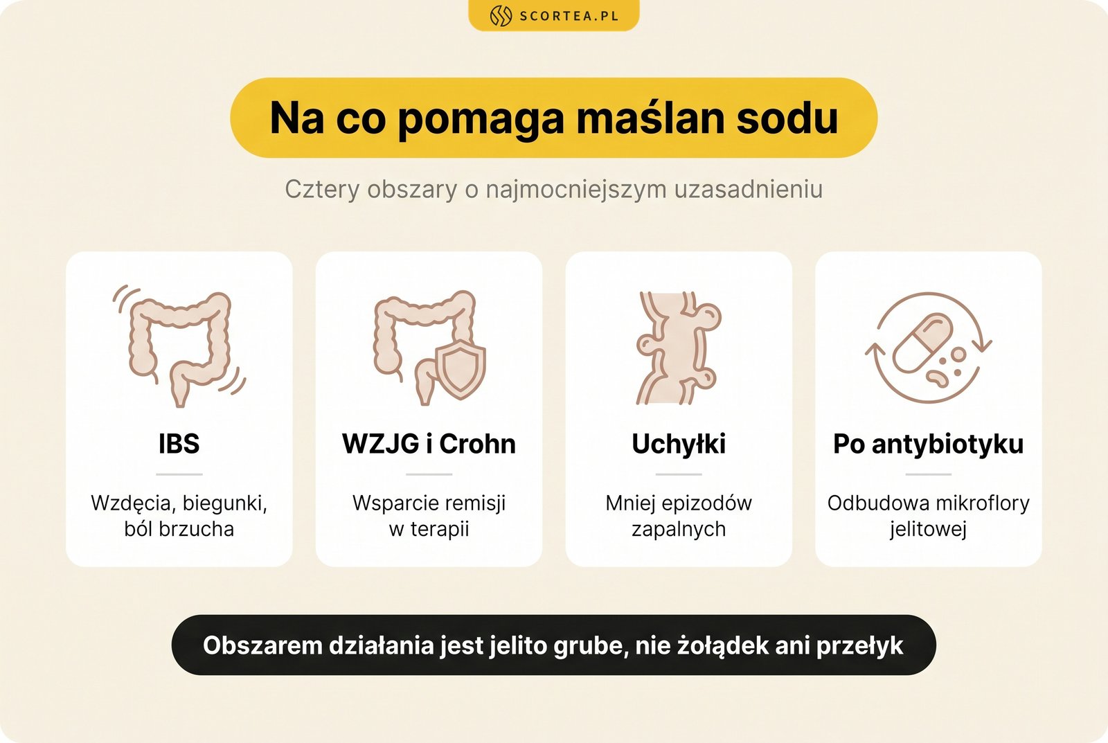 Infografika: na co pomaga maślan sodu - zespół jelita drażliwego, wrzodziejące zapalenie jelita grubego i choroba Crohna, choroba uchyłkowa oraz odbudowa mikroflory po antybiotyku