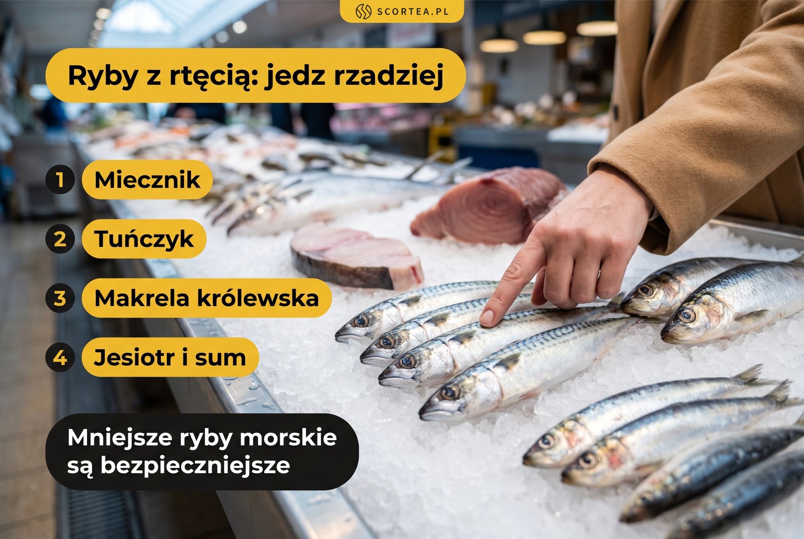 Ryby z rtęcią, które warto jeść rzadziej: miecznik, tuńczyk, makrela królewska, jesiotr i sum; mniejsze ryby morskie są bezpieczniejsze