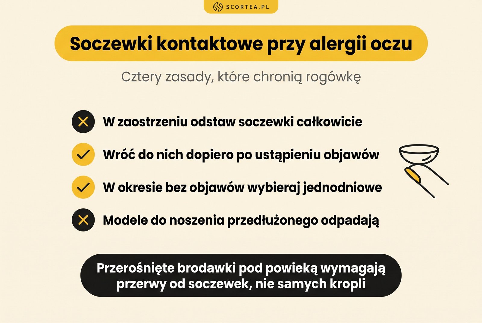 Infografika: cztery zasady noszenia soczewek kontaktowych przy alergii oczu - odstawienie w zaostrzeniu, powrót po ustąpieniu objawów, soczewki jednodniowe w remisji, zakaz modeli do noszenia przedłużonego