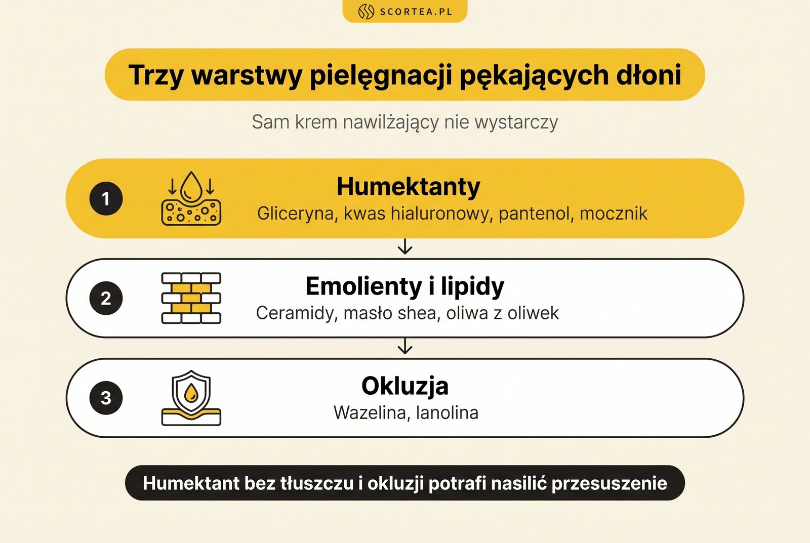 Infografika: trzy warstwy pielęgnacji pękających dłoni, humektanty, emolienty z lipidami i okluzja