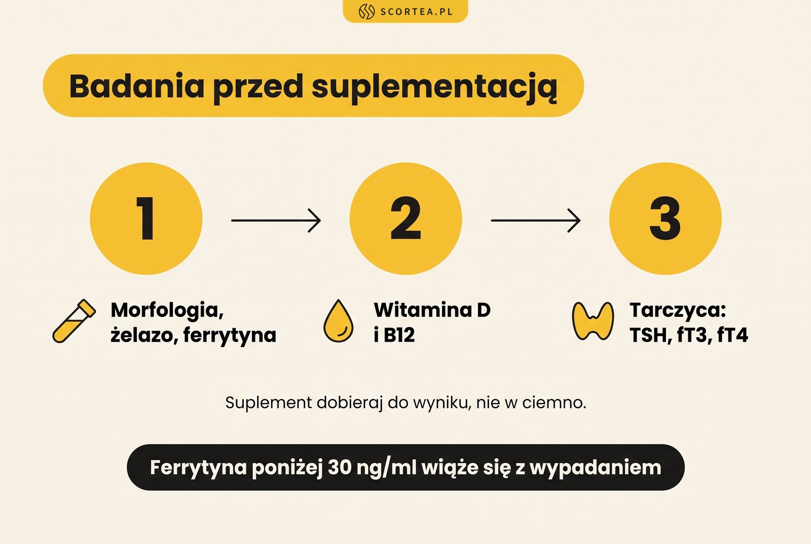 Infografika: badania przed suplementacją na wypadanie włosów. Morfologia, żelazo, ferrytyna, witamina D i B12, tarczyca TSH, fT3, fT4