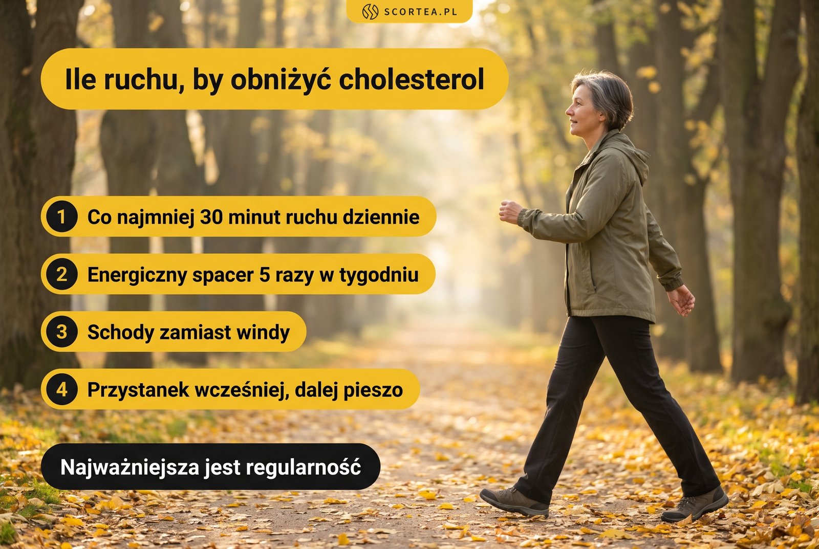 Infografika: ile ruchu, by obniżyć cholesterol, czyli co najmniej 30 minut ruchu dziennie, energiczny spacer 5 razy w tygodniu, schody zamiast windy i wysiadanie przystanek wcześniej