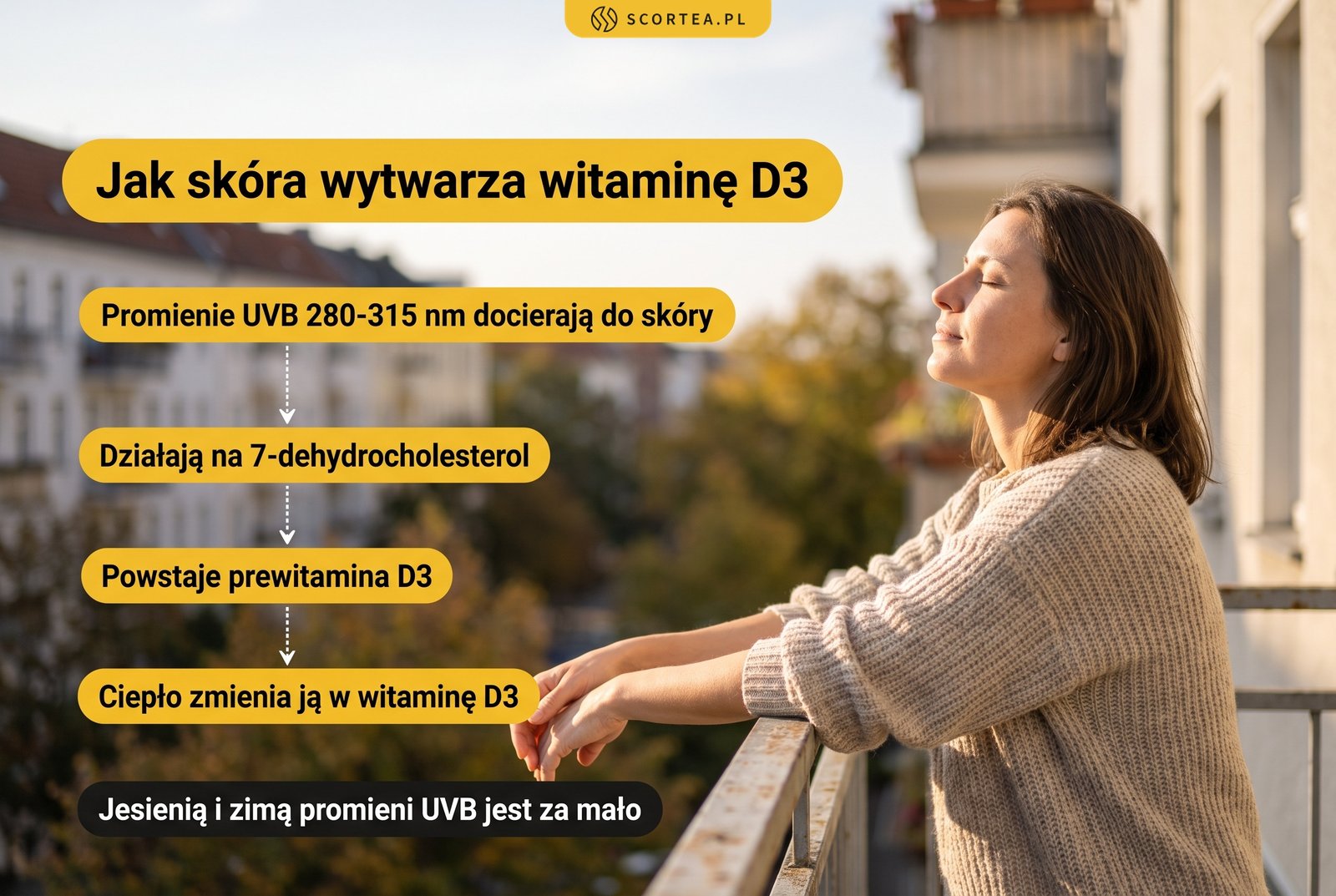 Infografika: jak skóra wytwarza witaminę D3, od promieni UVB 280-315 nm przez 7-dehydrocholesterol i prewitaminę D3 do witaminy D3