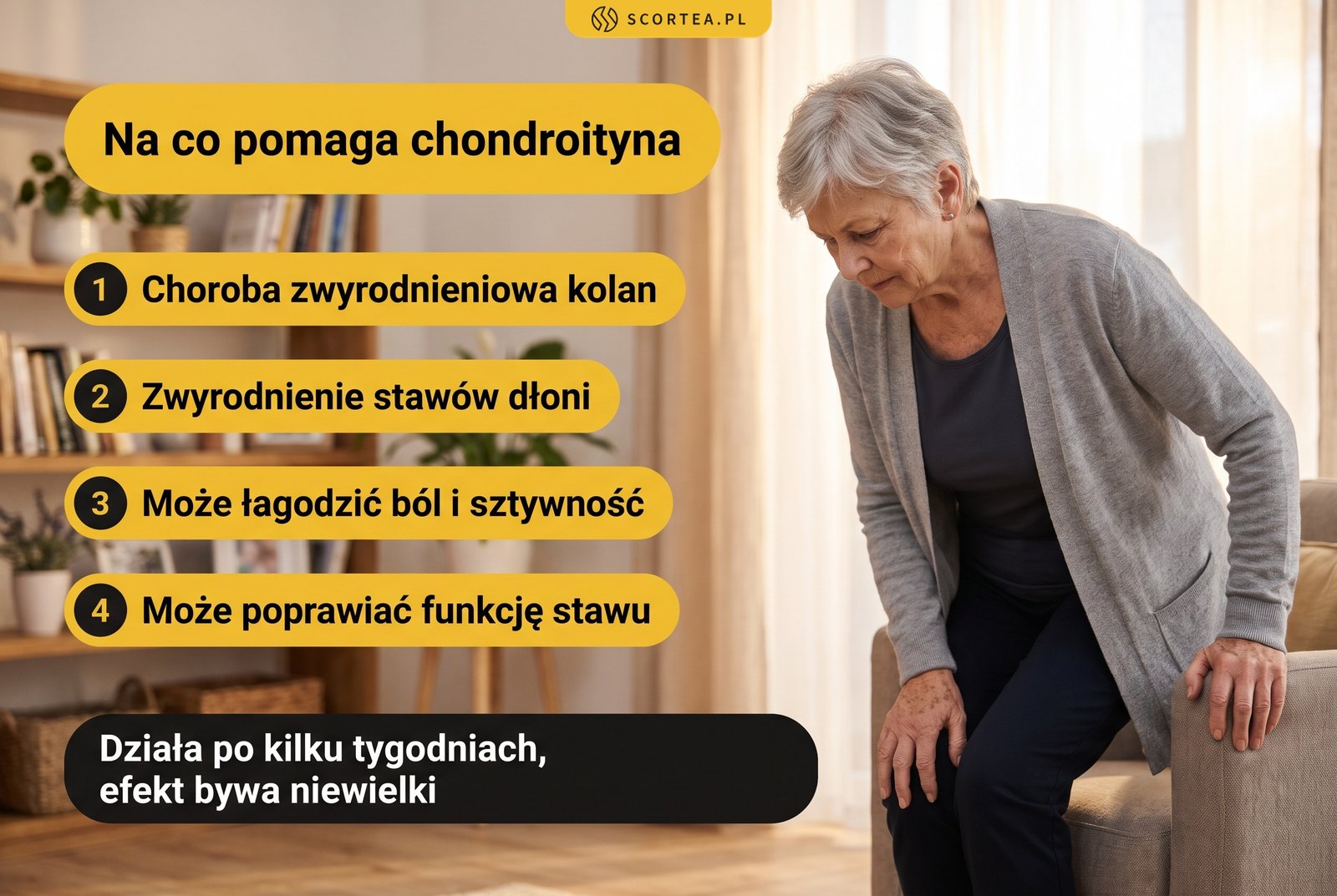 Infografika: na co pomaga chondroityna, czyli choroba zwyrodnieniowa kolan i zwyrodnienie stawów dłoni; może łagodzić ból i sztywność oraz poprawiać funkcję stawu, ale działa po kilku tygodniach, a efekt bywa niewielki