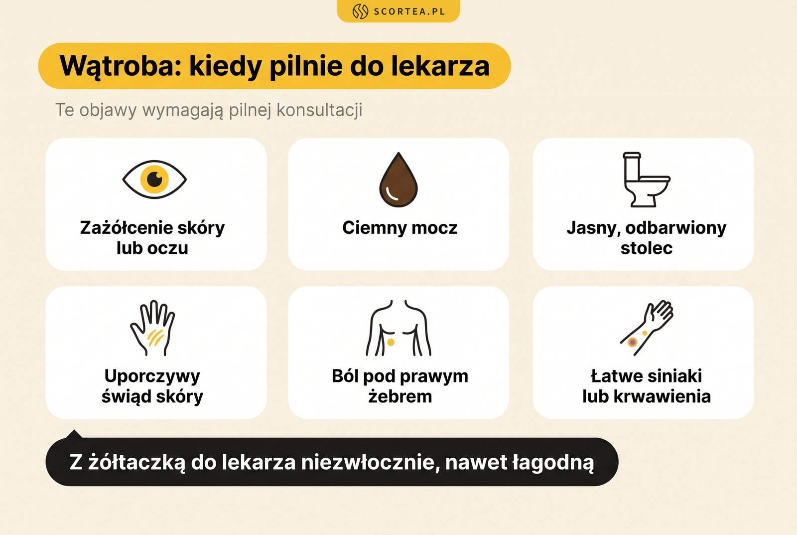Infografika: objawy ze strony wątroby, przy których trzeba pilnie iść do lekarza: zażółcenie skóry lub oczu, ciemny mocz, jasny odbarwiony stolec, uporczywy świąd skóry, ból pod prawym żebrem oraz łatwe siniaki lub krwawienia; z żółtaczką do lekarza niezwłocznie, nawet łagodną