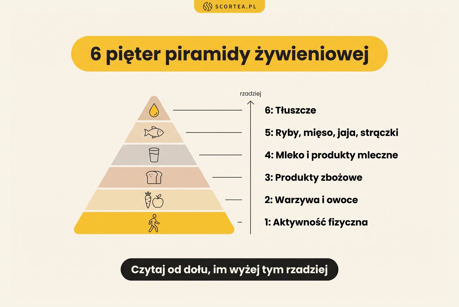 Infografika: 6 pięter piramidy żywieniowej od dołu: aktywność fizyczna, warzywa i owoce, zboża, nabiał, ryby, mięso, jaja i strączki, tłuszcze