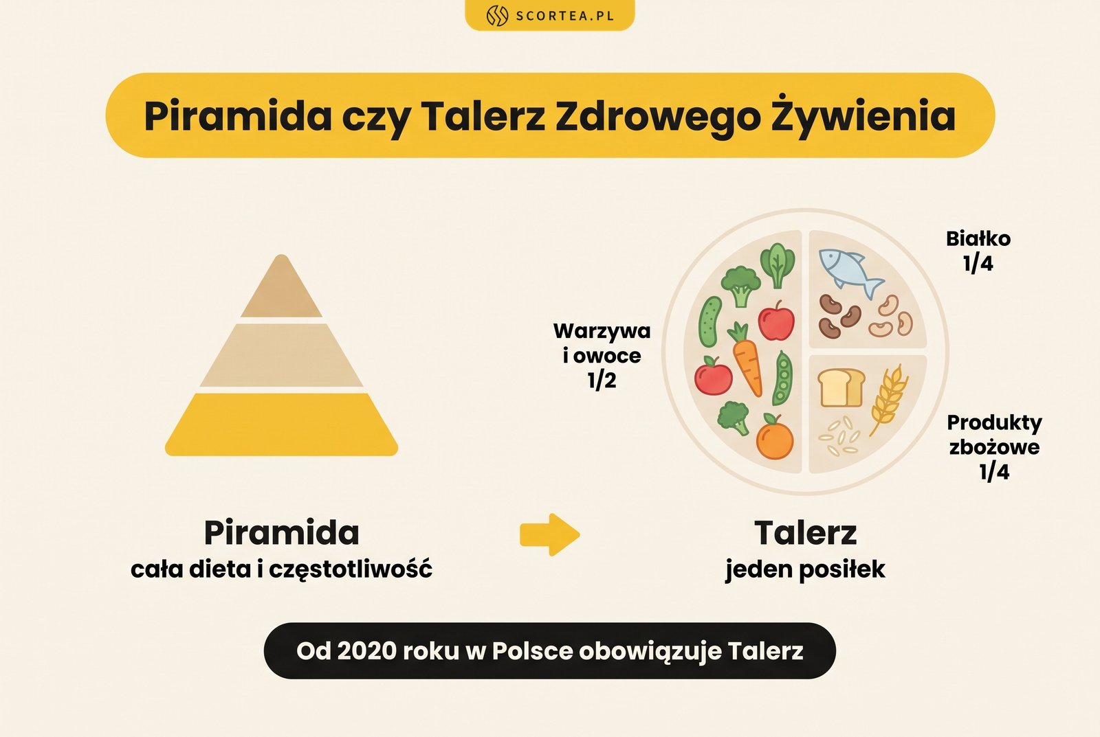 Infografika: piramida żywieniowa a Talerz Zdrowego Żywienia. Talerz to jeden posiłek: połowa warzywa i owoce, ćwierć białko, ćwierć zboża