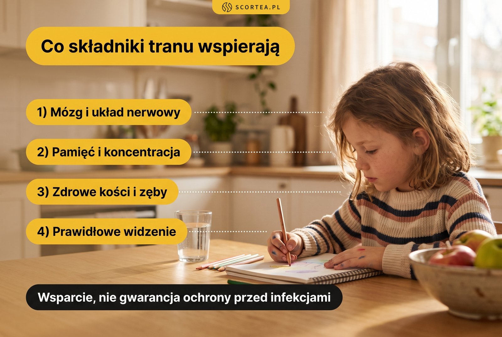 Infografika: składniki tranu wspierają mózg i układ nerwowy, pamięć i koncentrację, zdrowe kości i zęby oraz prawidłowe widzenie dziecka.