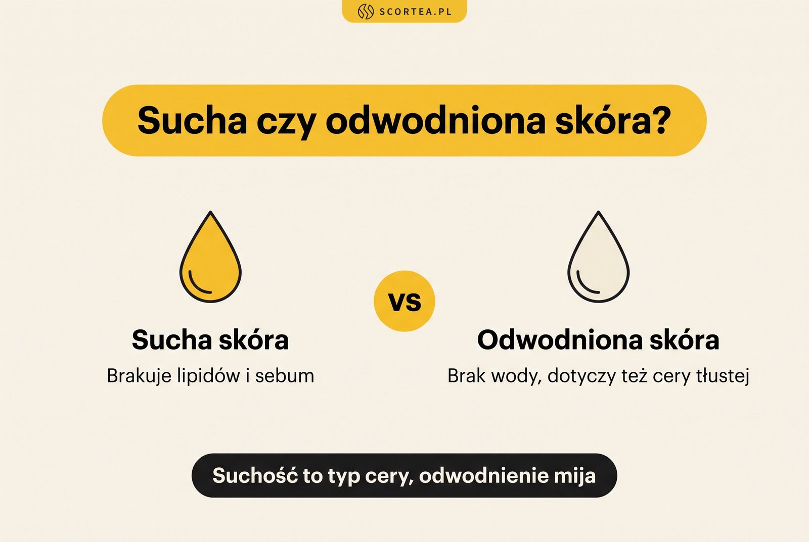 Infografika: sucha czy odwodniona skóra. Suchej brakuje lipidów i sebum, odwodnionej wody; odwodnienie dotyczy też cery tłustej